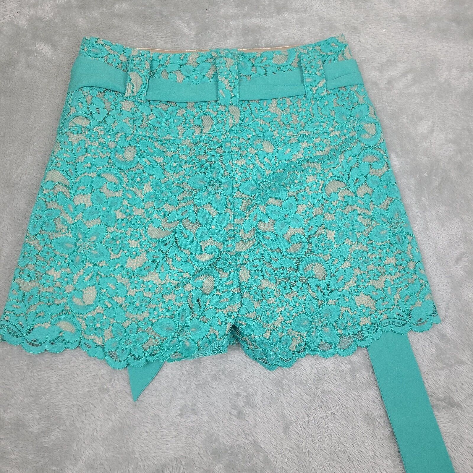 Guess Marciano by Guess High Waisted Teal lace short Size 4 Size 27" / US 4 / IT 40 - 12 Thumbnail