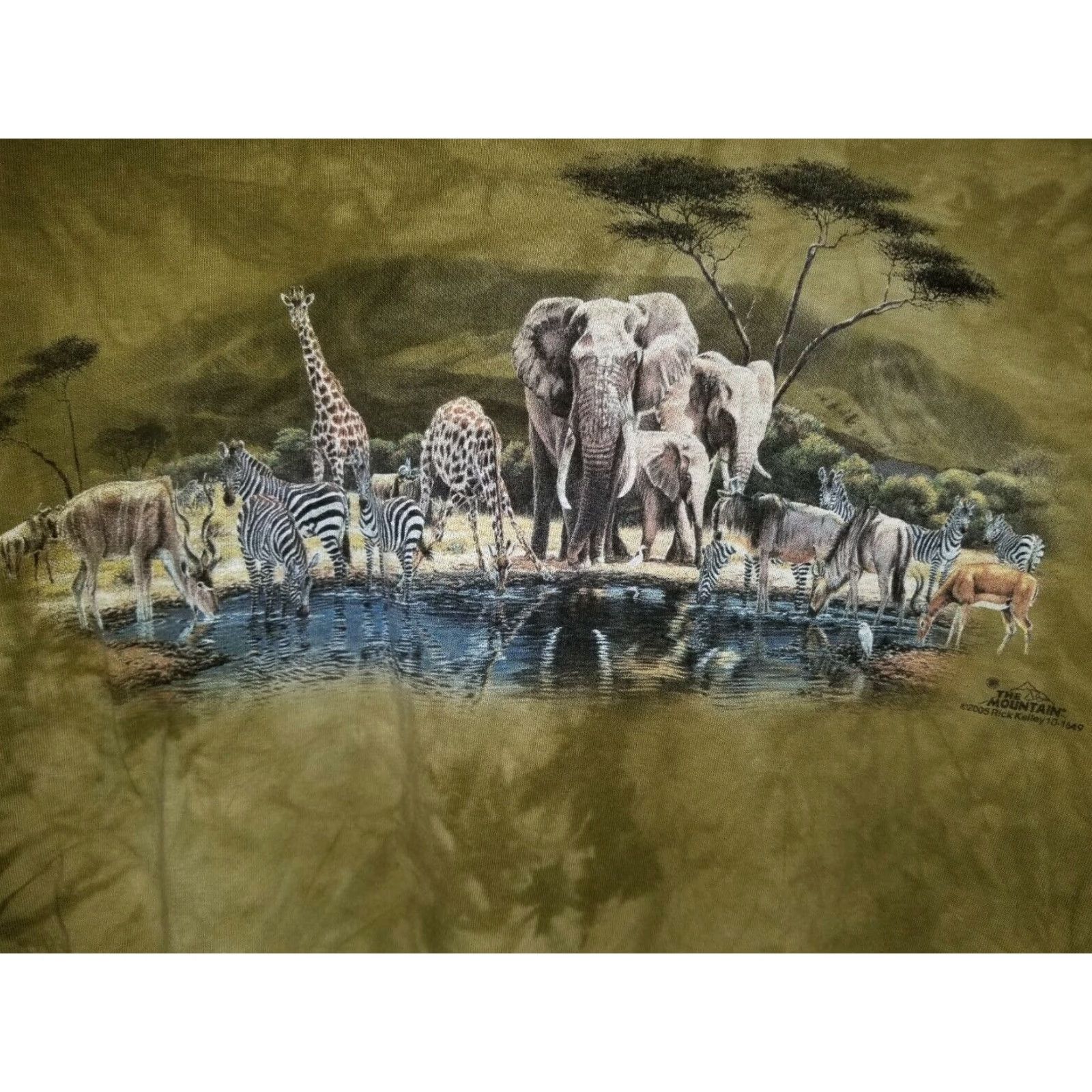 The Mountain VINTAGE The Mountain Animal Print Safari Busch Gardens Graphic Tee Green Mens M Size US M / EU 48-50 / 2 - 2 Thumbnail