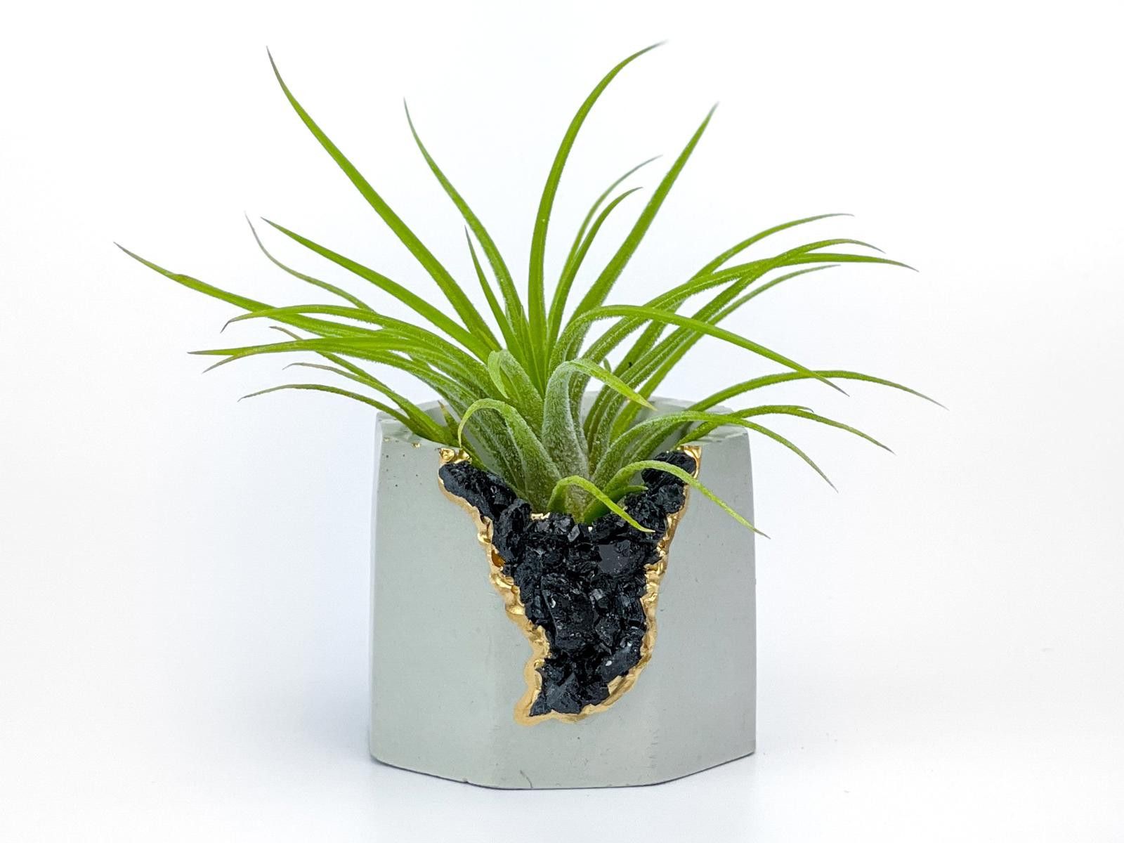 Other Black Tourmaline Geode Planter Handmade Succulent Pot yoga Size ONE SIZE - 3 Thumbnail