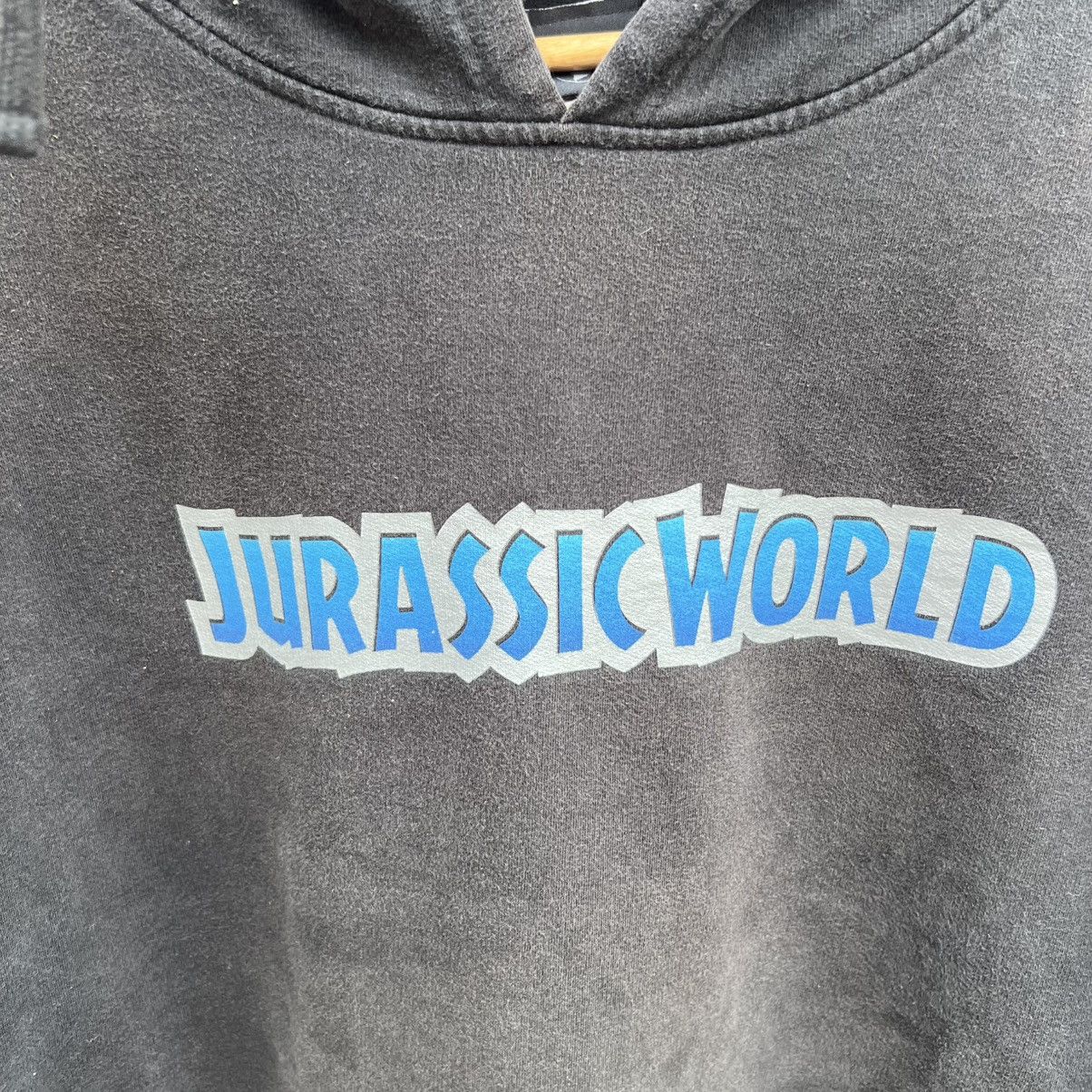 Universal Studios “JURASSIC WORLD” BLACK FADED HOODIE Size US XL / EU 56 / 4 - 8 Thumbnail