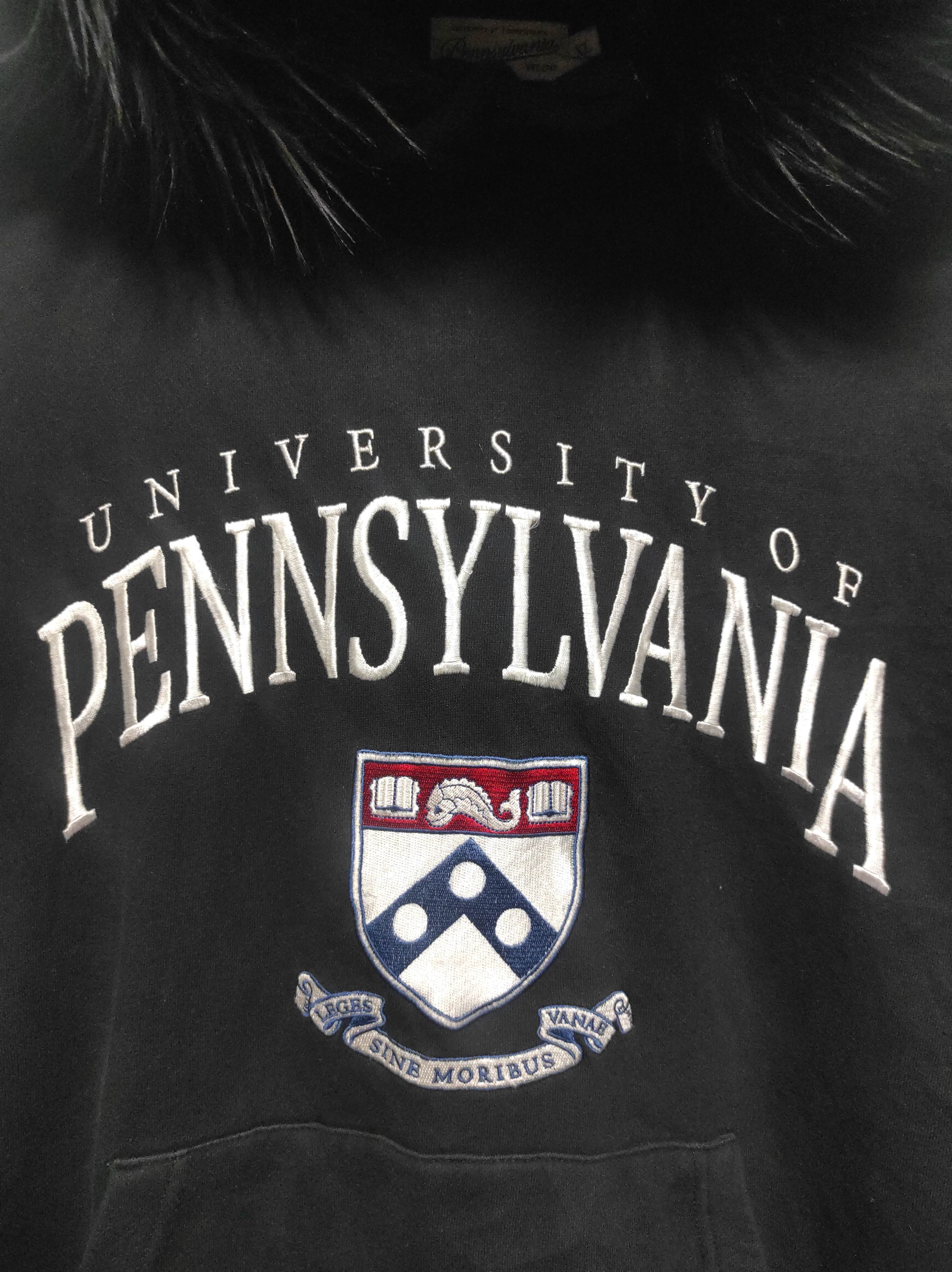 Hysteric Glamour University Of Pennsylvania Fur Hoodie IfSixWasNine LGB style Size US XL / EU 56 / 4 - 4 Thumbnail