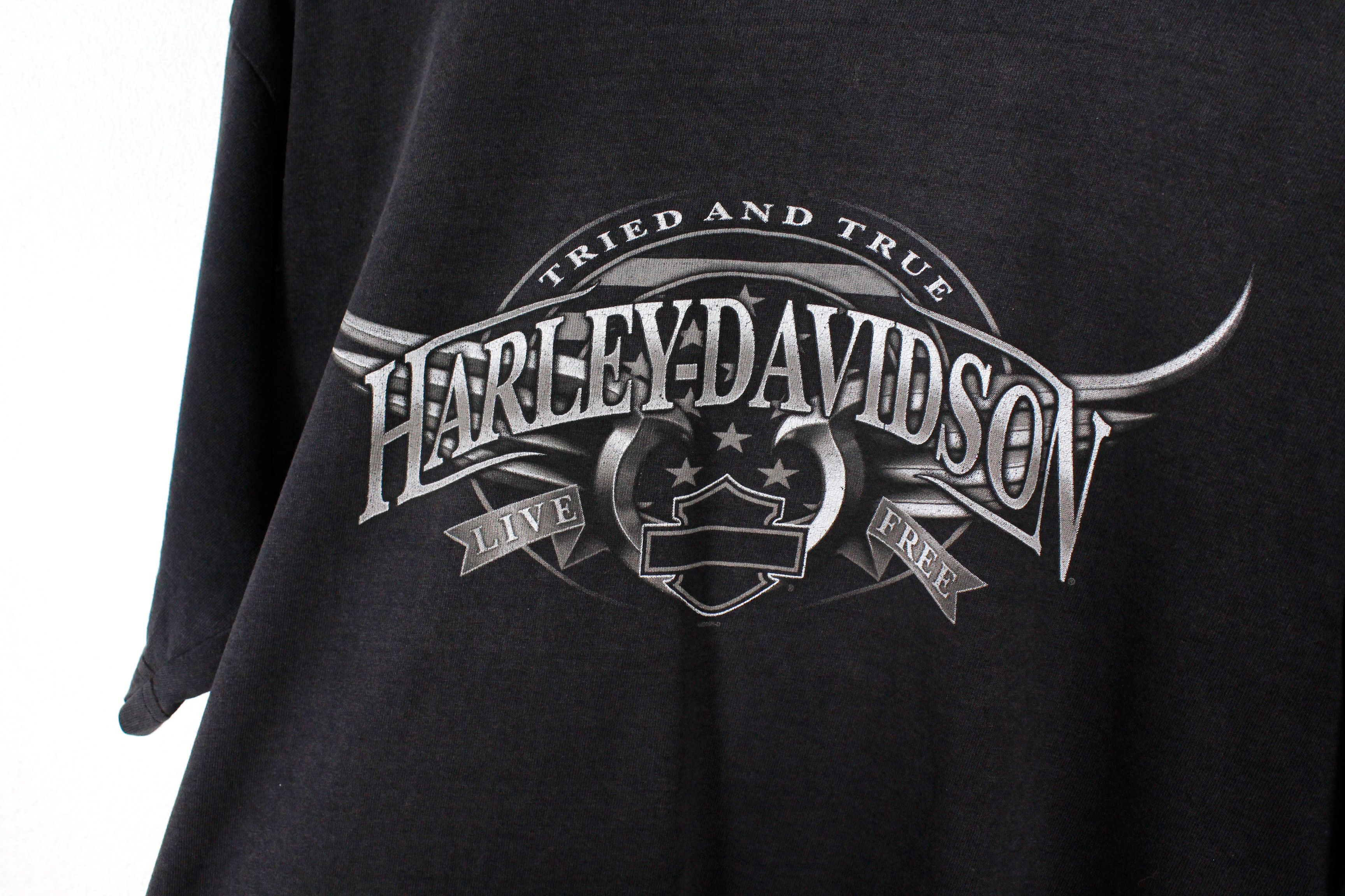 Harley Davidson × Vintage Vintage Harley Davidson Florida USA Graphic Tee Tshirt Y2K Size US L / EU 52-54 / 3 - 2 Thumbnail
