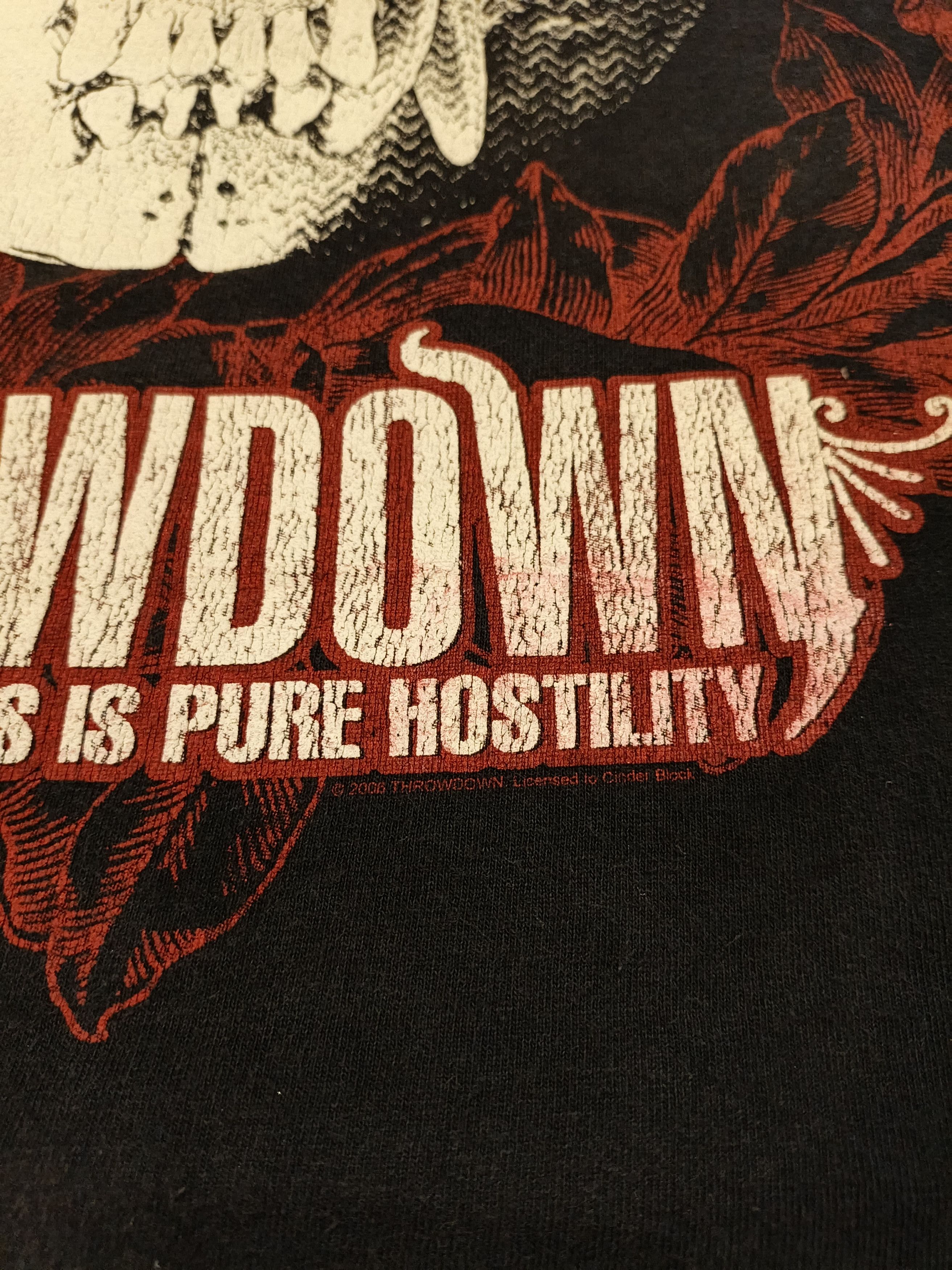 Vintage Throwdown Hardcore Band Tee “This Is Pure Hostility”