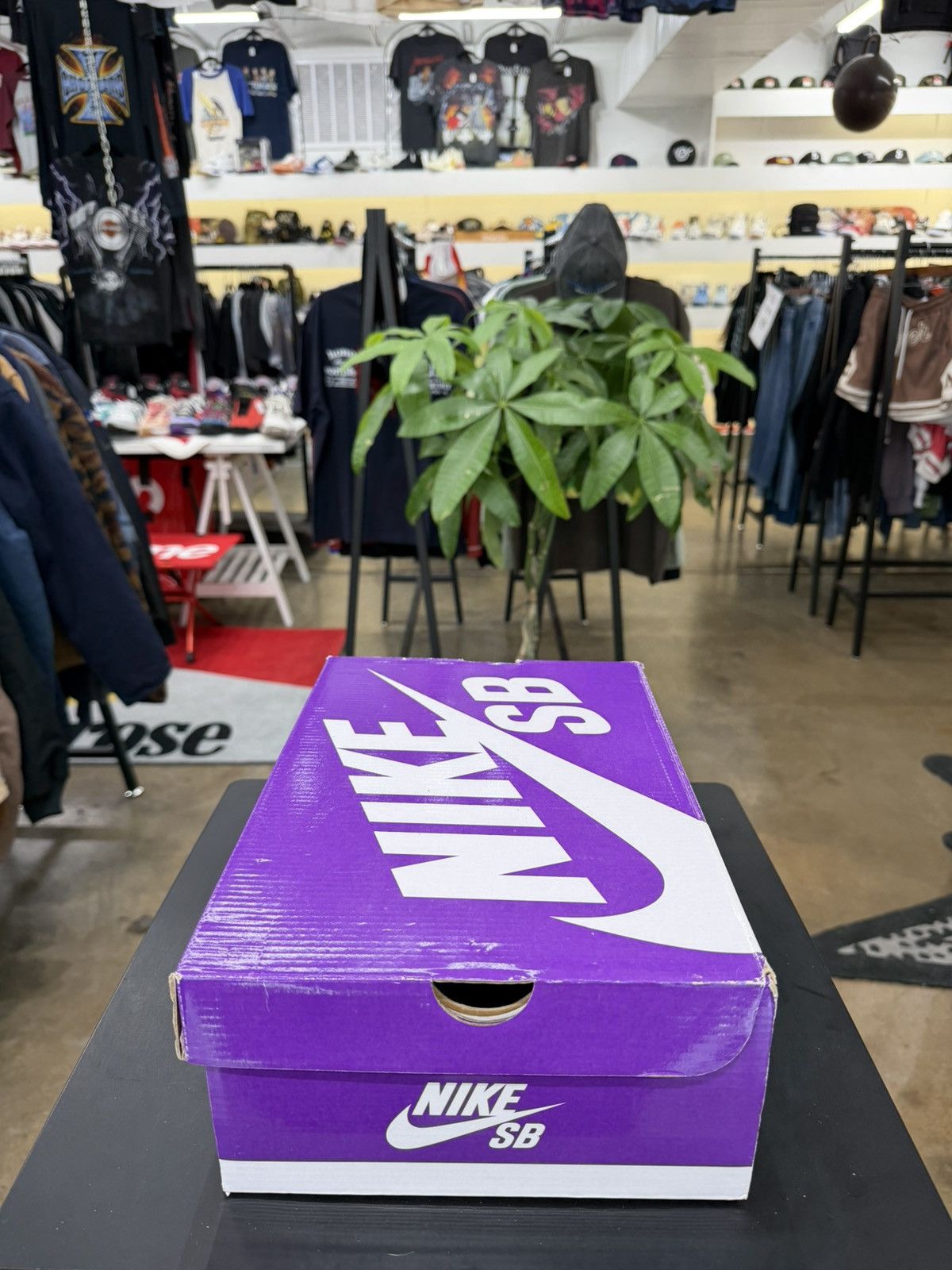 Nike Nike SB Dunk Low Reverse Papa Bear Size 9.5 (2021) Size US 9.5 / EU 42-43 - 16 Thumbnail