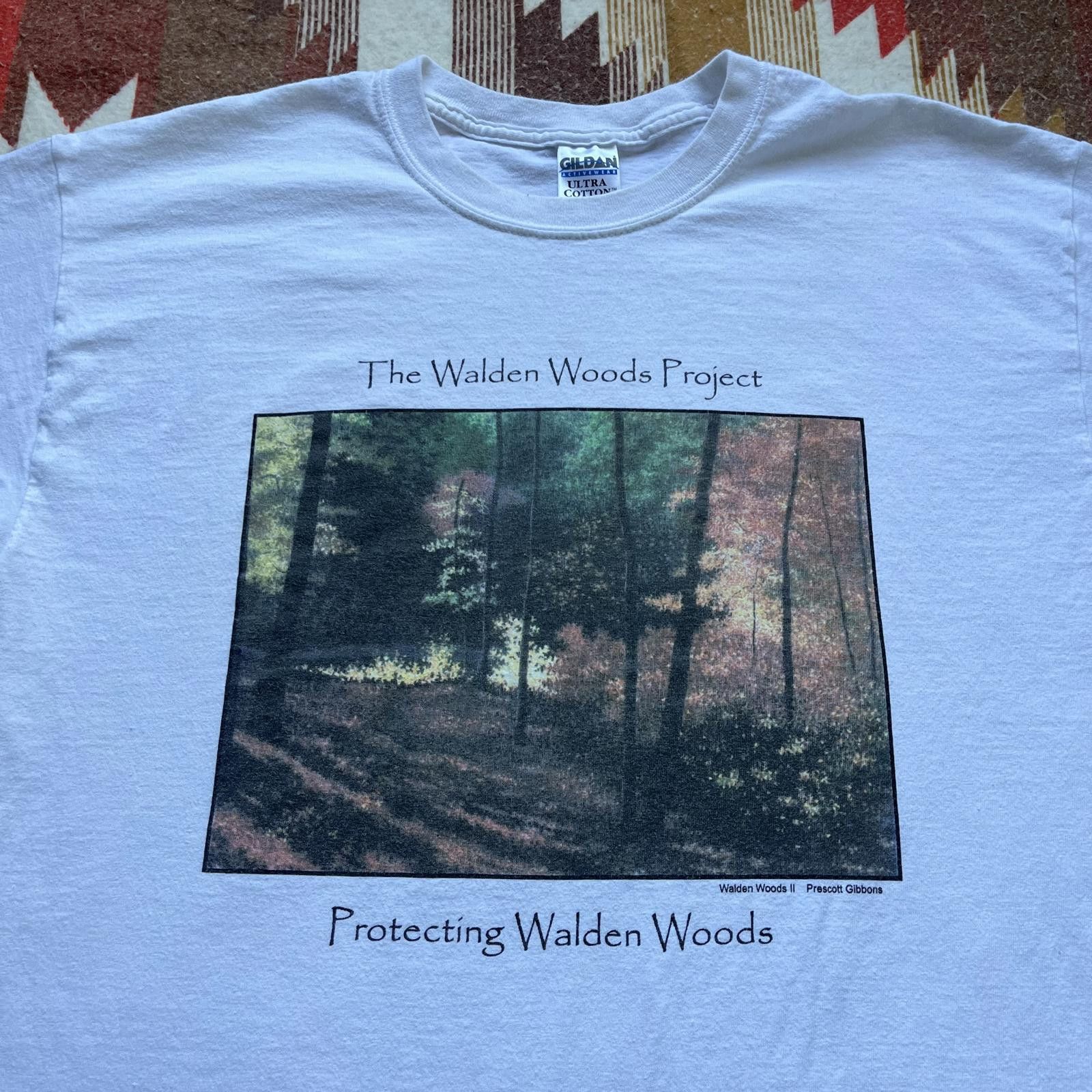 Gildan × Vintage Vintage Y2K Walden Woods Project Nature Conservation Shirt Size US L / EU 52-54 / 3 - 1 Thumbnail