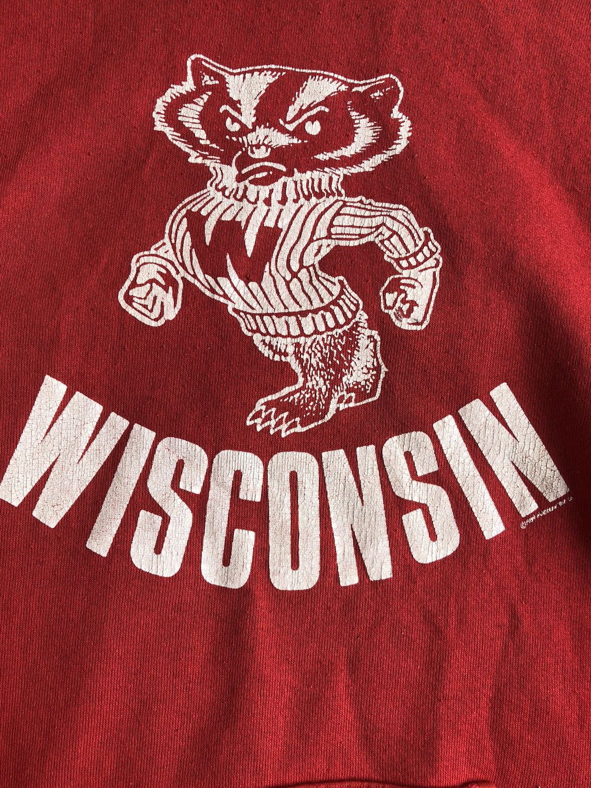 If Six Was Nine Wisconsin Fur Hoodie IfSixWasNine LGB style Size US XL / EU 56 / 4 - 5 Thumbnail