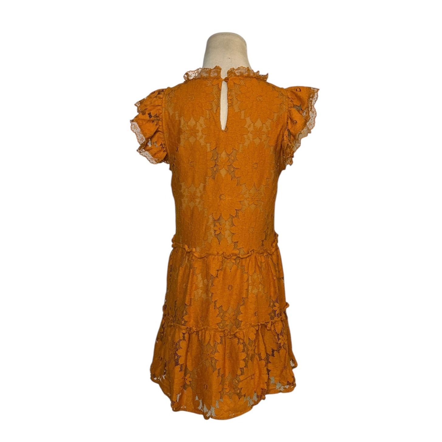 Anthropologie Blue Tassel gold floral lace tiered tunic mini dress size XS Size XS / US 0-2 / IT 36-38 - 2 Thumbnail