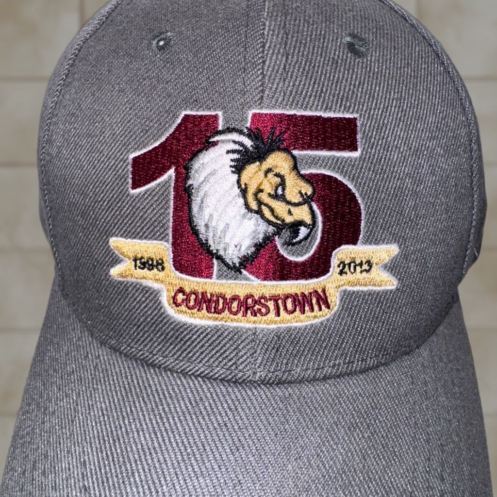 Vintage MELON WEAR Bakersfield Condors Town Hockey Team Hat 15 Year Anniversary Cap, Gray, One Size, Adjustable Baseball Cap, Logo, Men, Vintage No Size ONE SIZE - 1 Thumbnail