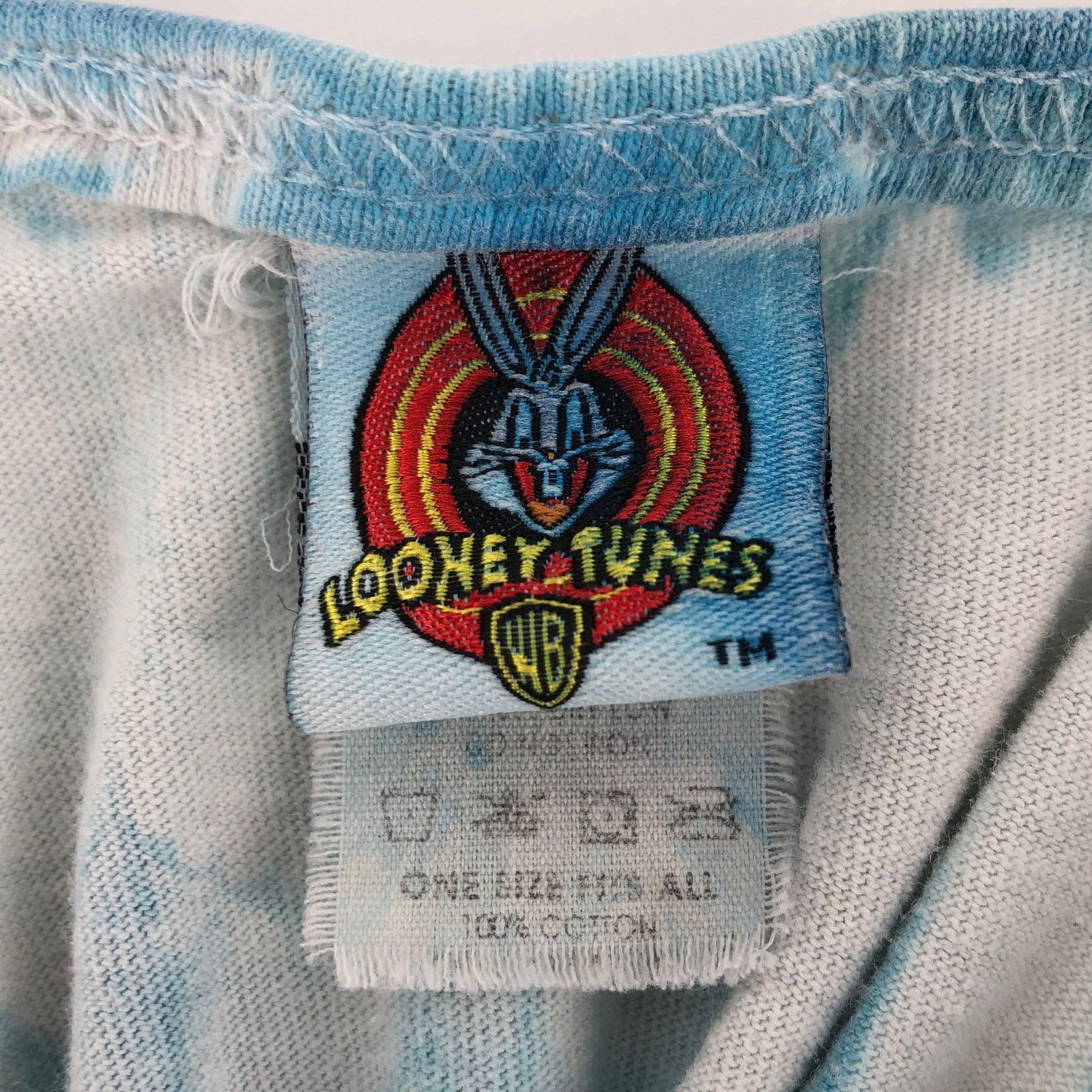 Vintage × Warner Bros 90s Looney Tunes Tweety Swim Team cover up 1990s vintage Size ONE SIZE - 4 Thumbnail
