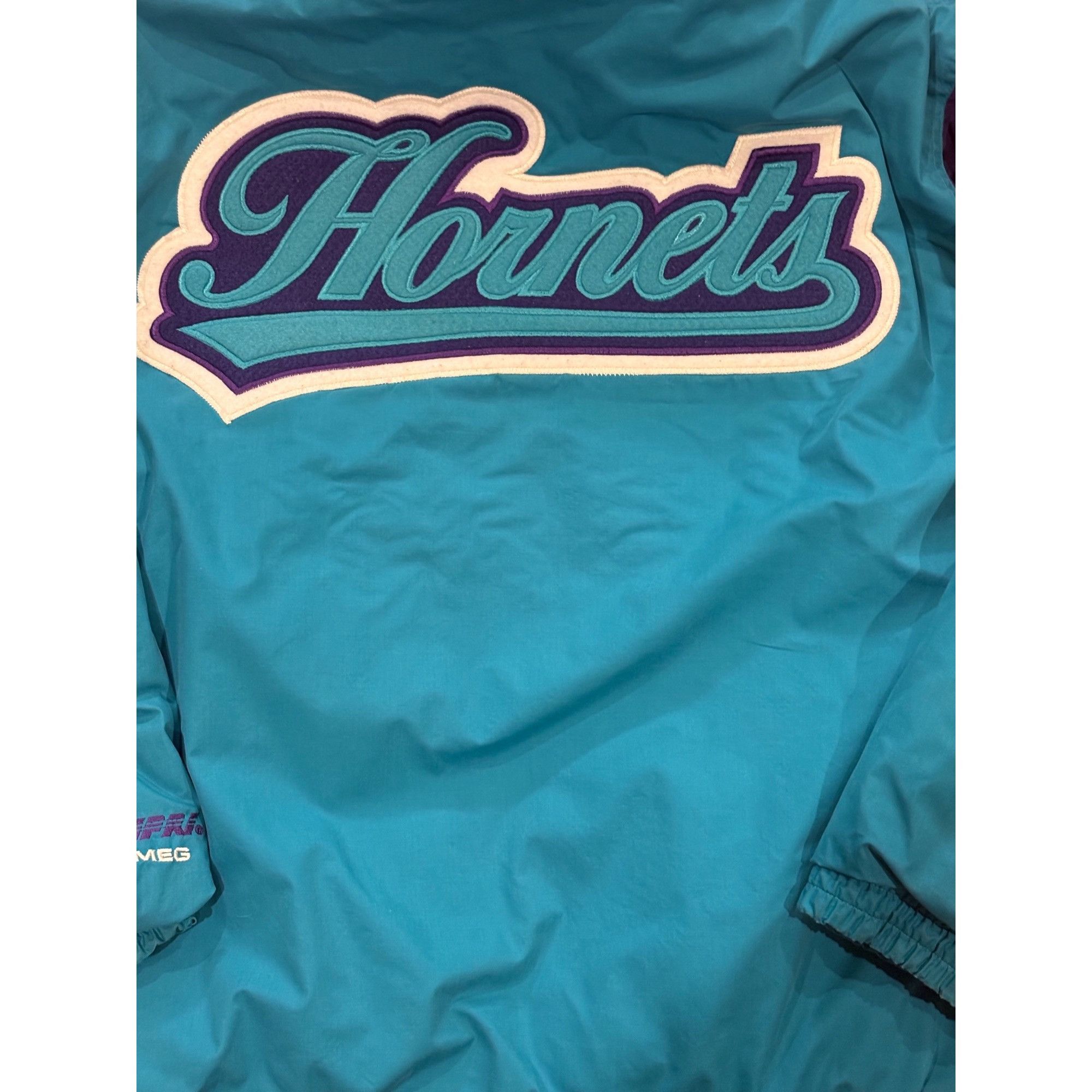 Nutmeg Vintage 90's Nutmeg Charlotte Hornets NBA Hooded Full Zip Ja Size US XL / EU 56 / 4 - 6 Thumbnail