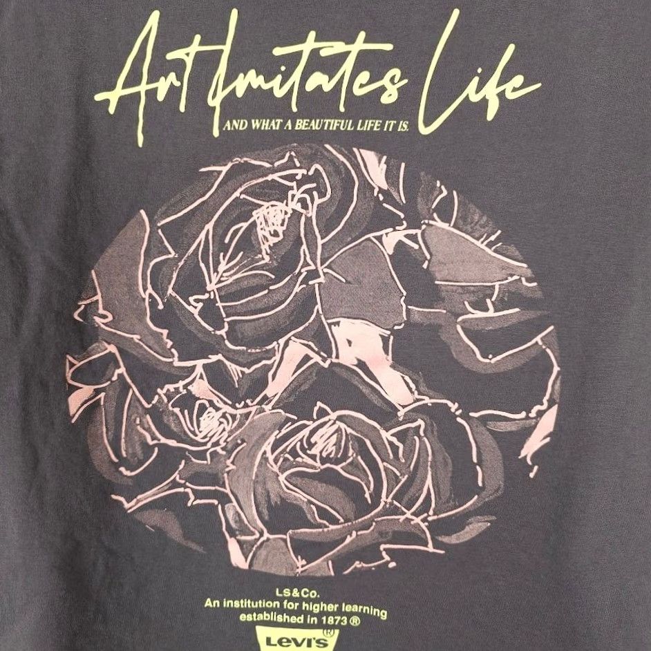 Levi's Levi's Art Imitates Life T Shirt Mens XL Gray Roses What A Beautiful Life Size US XL / EU 56 / 4 - 5 Thumbnail