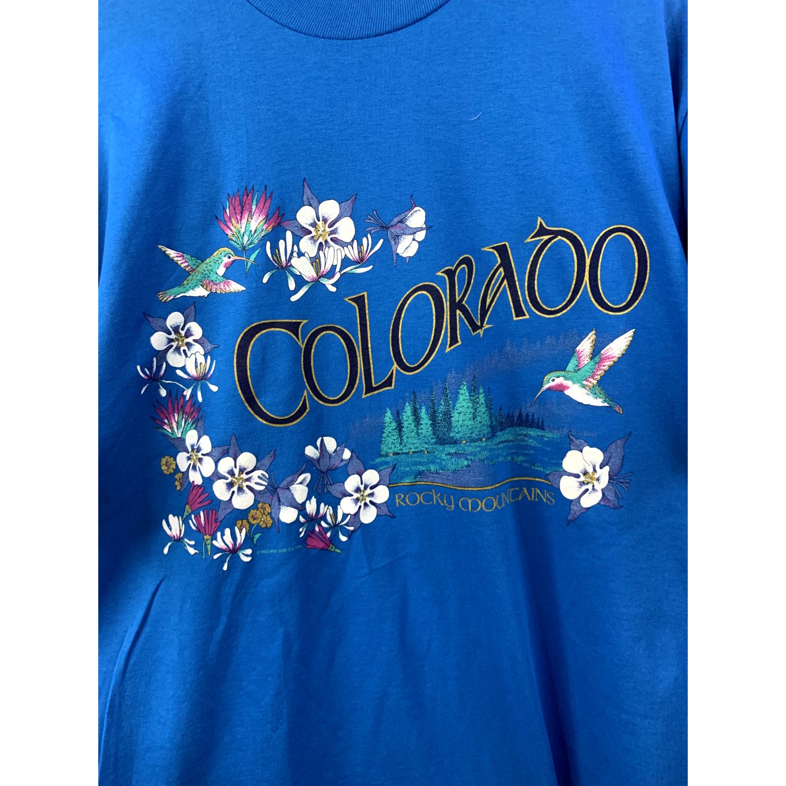 Jerzees Vintage Rocky Mountains Shirt Blue Flower Shirt VTG 1996 L Size US L / EU 52-54 / 3 - 2 Thumbnail