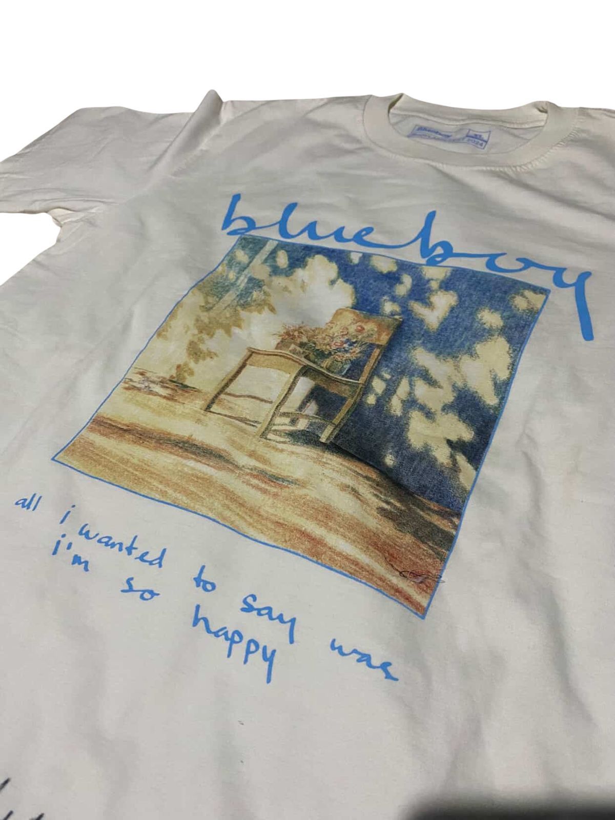 Band Tees Blueboy Joyland Fest Indonesia Official Merch Size US XL / EU 56 / 4 - 3 Thumbnail