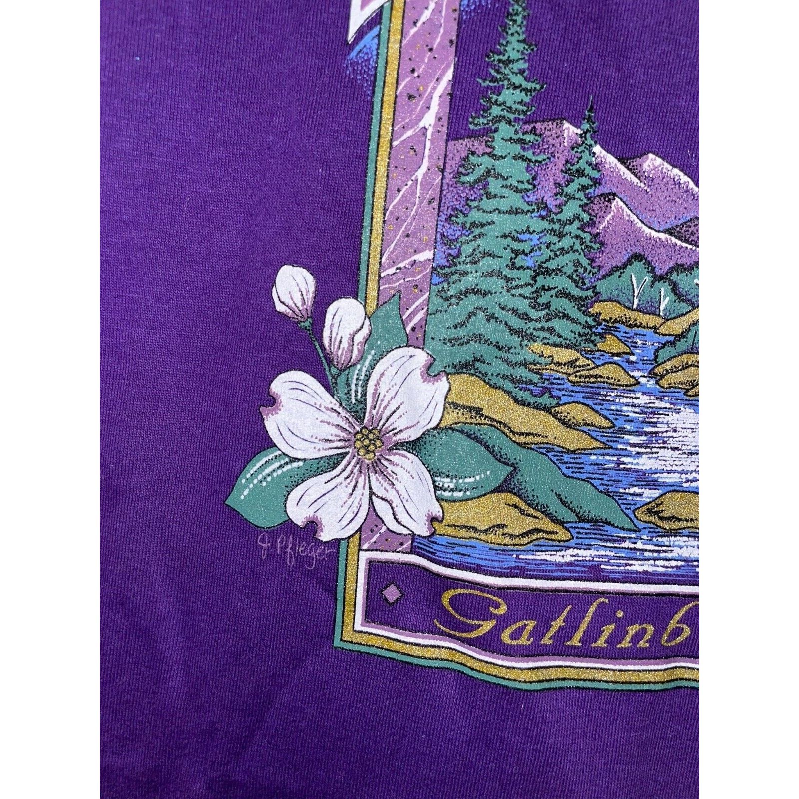 Jerzees Vintage Gatlinburg Tennessee Shirt Mountain Tee VTG 90s L Size US L / EU 52-54 / 3 - 5 Thumbnail