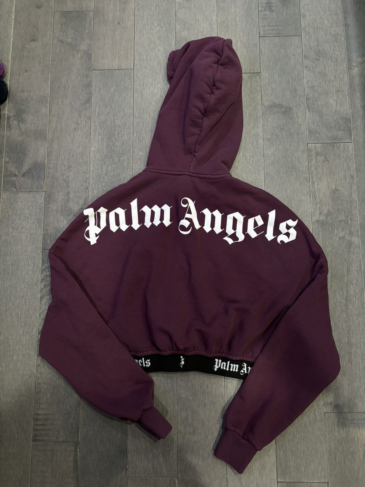 image of Palm Angels Female Hoodie Large in Plum, Women's
