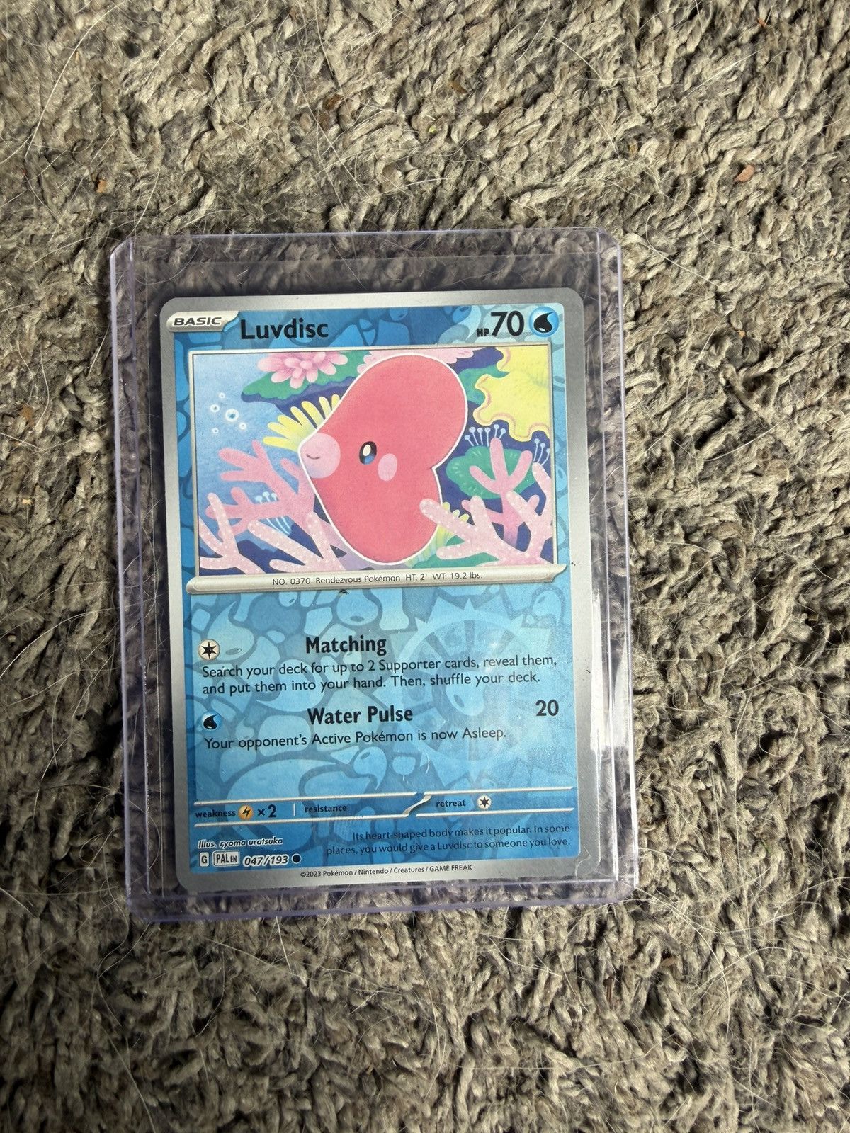 Pokemon 2023 Pokémon Luvdisc Card Size ONE SIZE - 1 Thumbnail