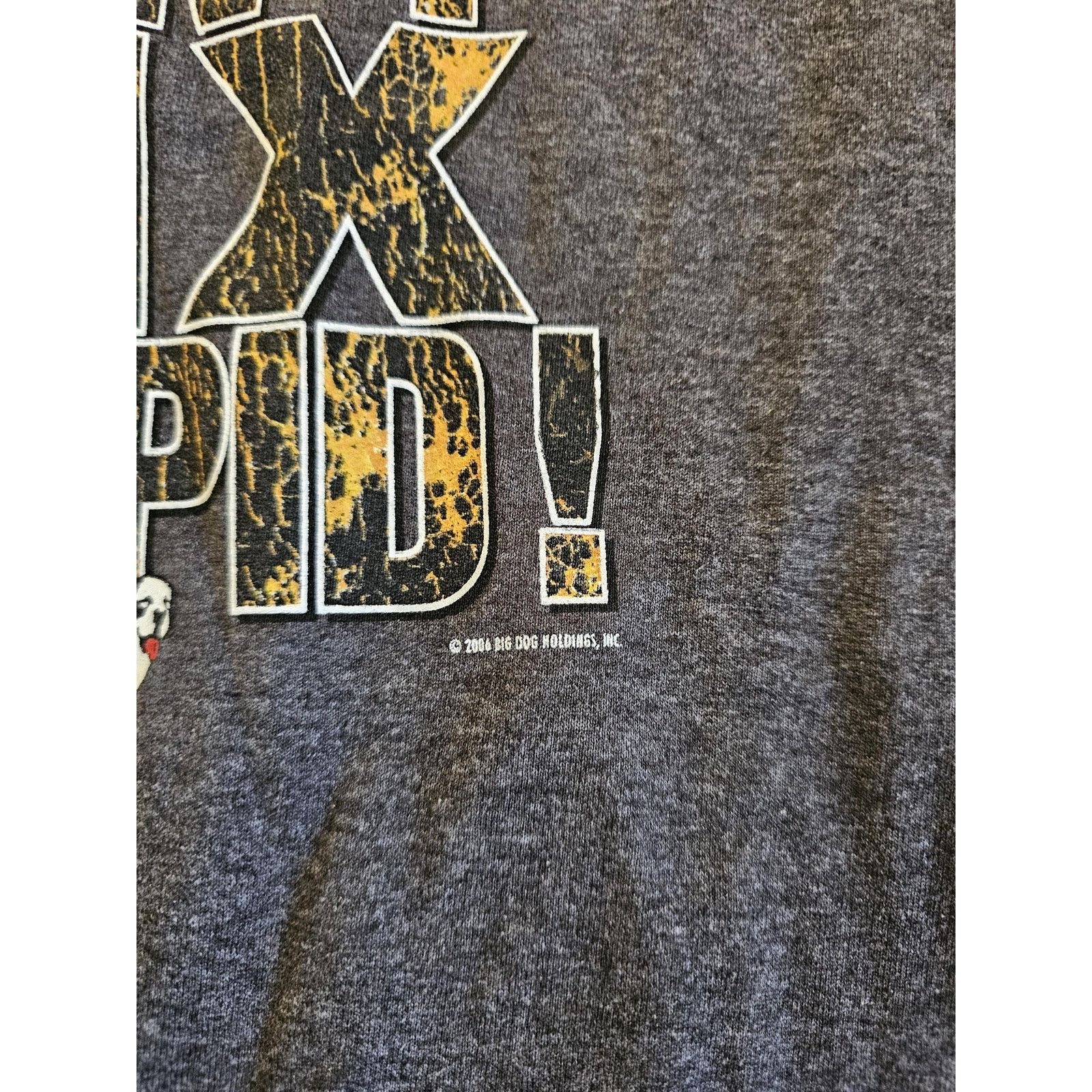 Big Dogs Big Dogs Cant Fix Stupid T-shirt Sz M Y2K Size US M / EU 48-50 / 2 - 4 Thumbnail