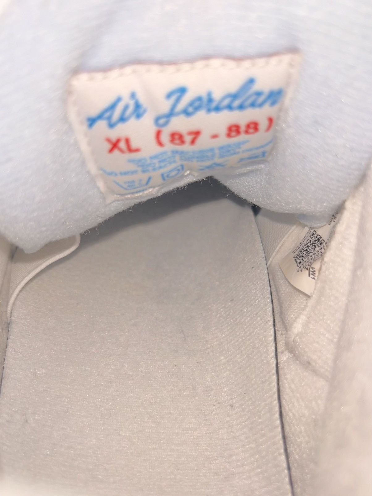 Jordan Brand Air Jordan 3 - Lucky Shorts Size US 9.5 / EU 42-43 - 7 Thumbnail