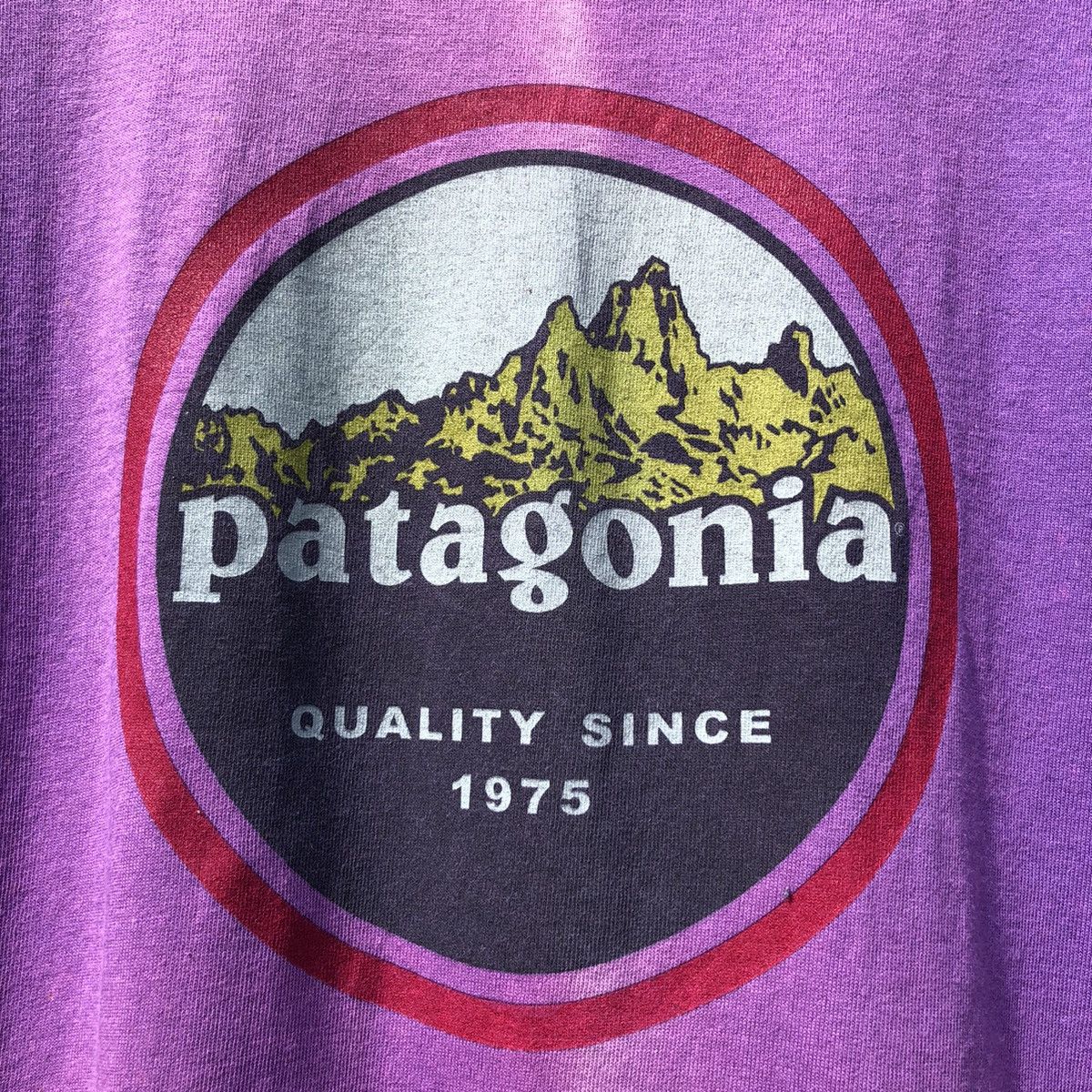 Patagonia 🔥Steals🔥 Vintage 90s Faded Patagonia Quality since 1975 Tee Size US L / EU 52-54 / 3 - 4 Thumbnail