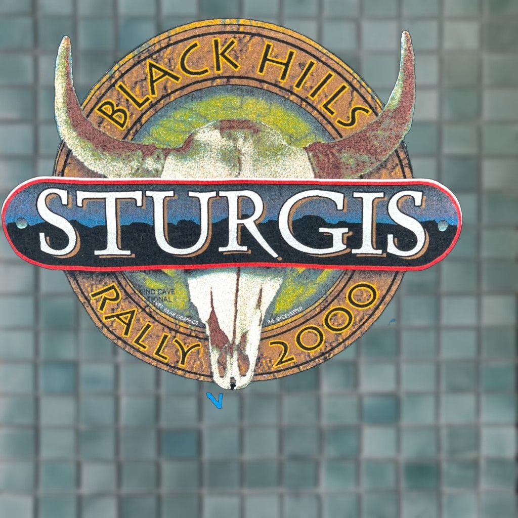Fruit Of The Loom VINTAGE The First Sturgis Rally Millennium 2000 Black Hills Mens Black Tee XL T Shirt Graphic 100% Cotton Motorcycle Crew Neck Short Sleeve N/A Size US XL / EU 56 / 4 - 1 Thumbnail