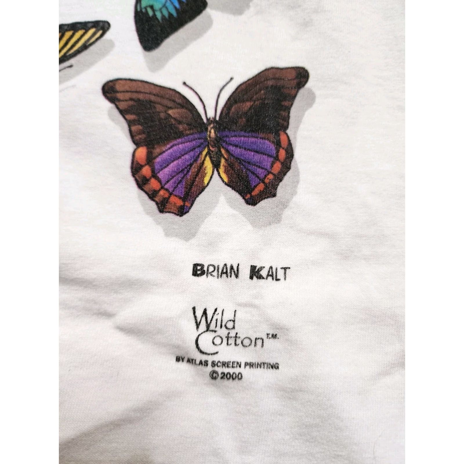 Anvil Vintage Anvil Mens M T-Shirt Florida Butterfly Art 2000s White Crew Neck Size US M / EU 48-50 / 2 - 4 Thumbnail