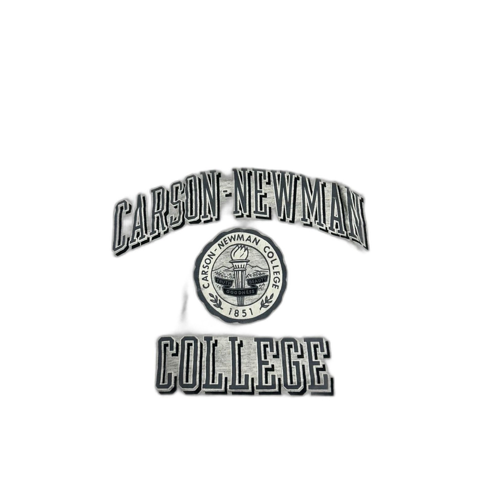 Jansport Vintage Carson-Newman College Grey Shirt XL Size US XL / EU 56 / 4 - 2 Thumbnail