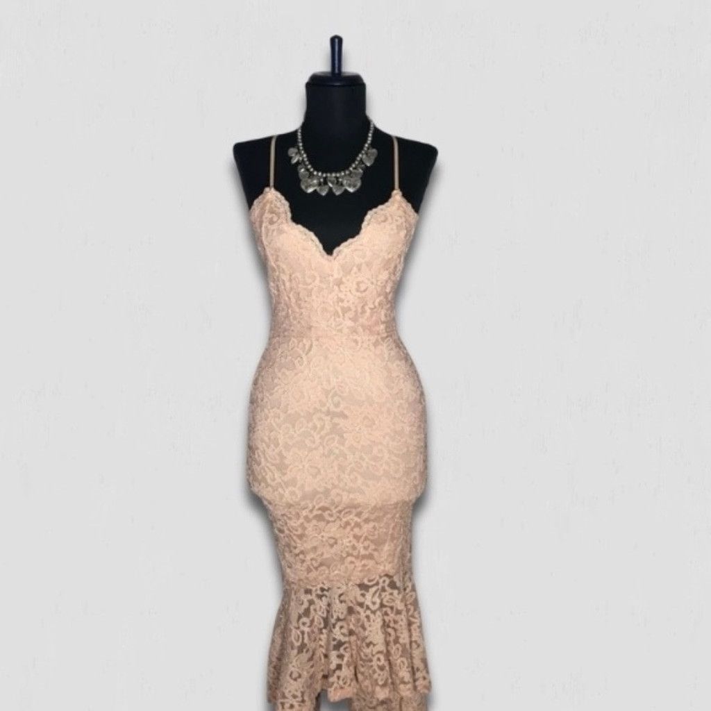 Windsor Smith NWOT Windsor Chantilly Bodycon Dress Lace Mermaid Hem Pink L Size L / US 10 / IT 46 - 1 Thumbnail