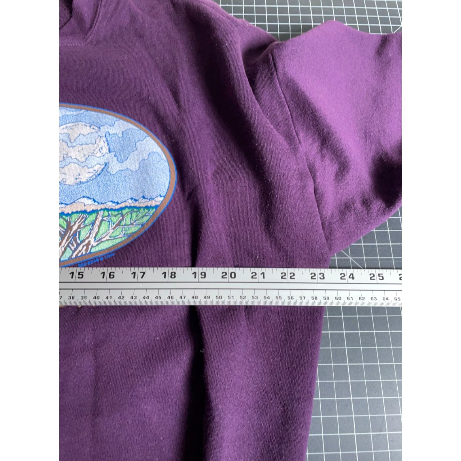 Jerzees JERZEES Sweatshirt Adult XL Purple Graphic Print Saginaw Michigan VTG Crewneck 90s Wolf Moon Size US XL / EU 56 / 4 - 5 Thumbnail