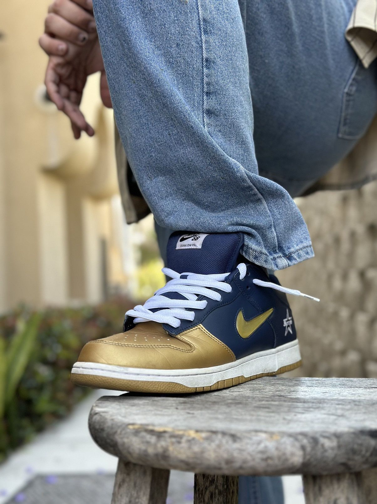 image of Nike Dunks Sb Lowd Shoes in Blue, Men's (Size 12)