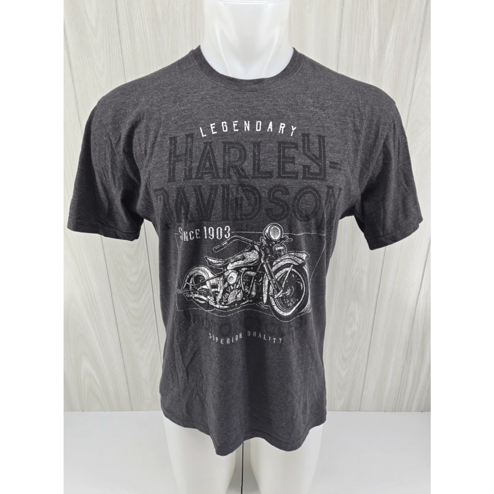 Harley Davidson VINTAGE Harley-Davidson Smoky Mountain Outpost Bryson City NC Graphic Shirt Large Gray Mens T-Shirt City 2000s Size US L / EU 52-54 / 3 - 3 Thumbnail