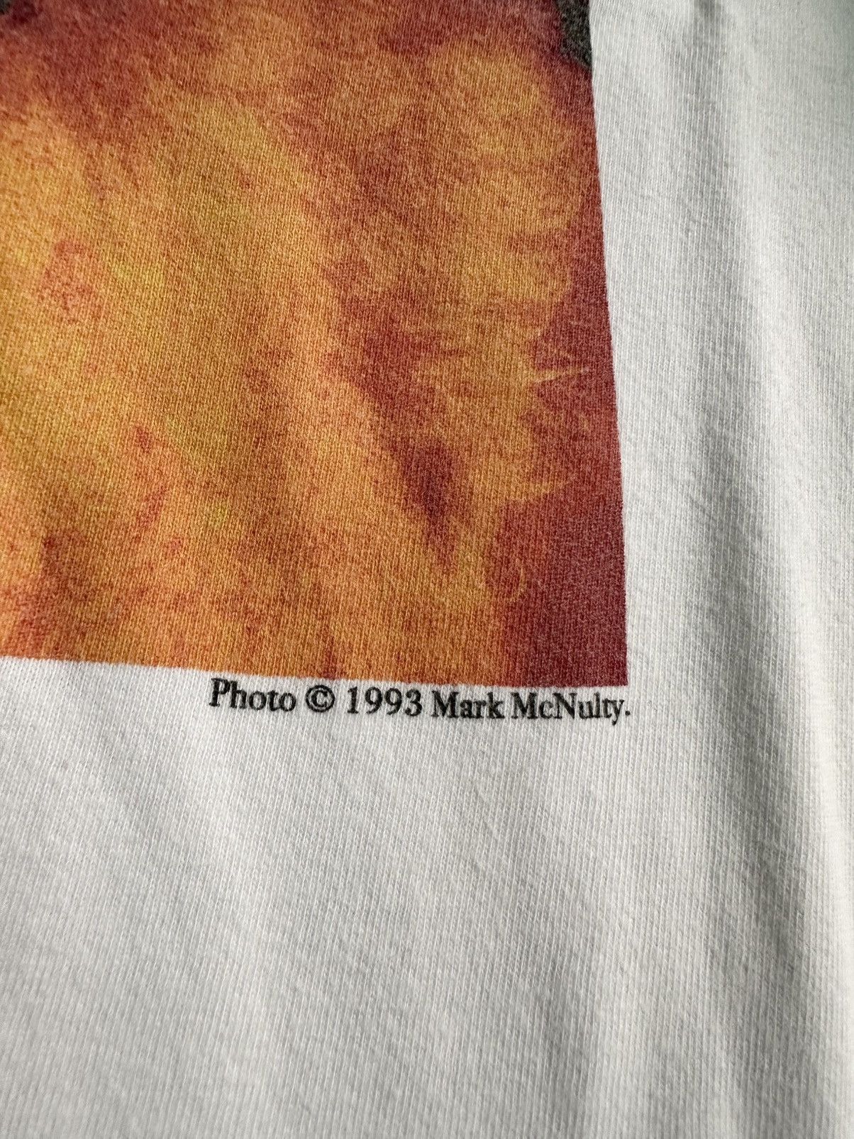 Arts & Science Rare Mark McNulty × Journal Standard Björk Photo Tee (1993) Size US L / EU 52-54 / 3 - 3 Thumbnail