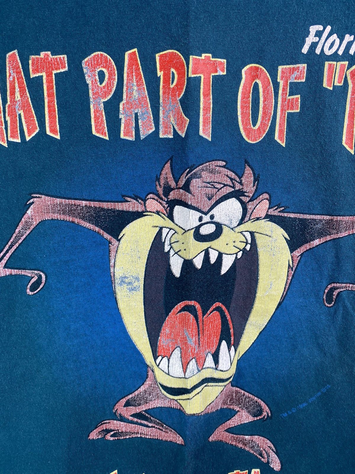 Band Tees × Vintage Vintage 90s Looney Tunes Taz “What Part of No” Florida Tee Size US L / EU 52-54 / 3 - 4 Thumbnail