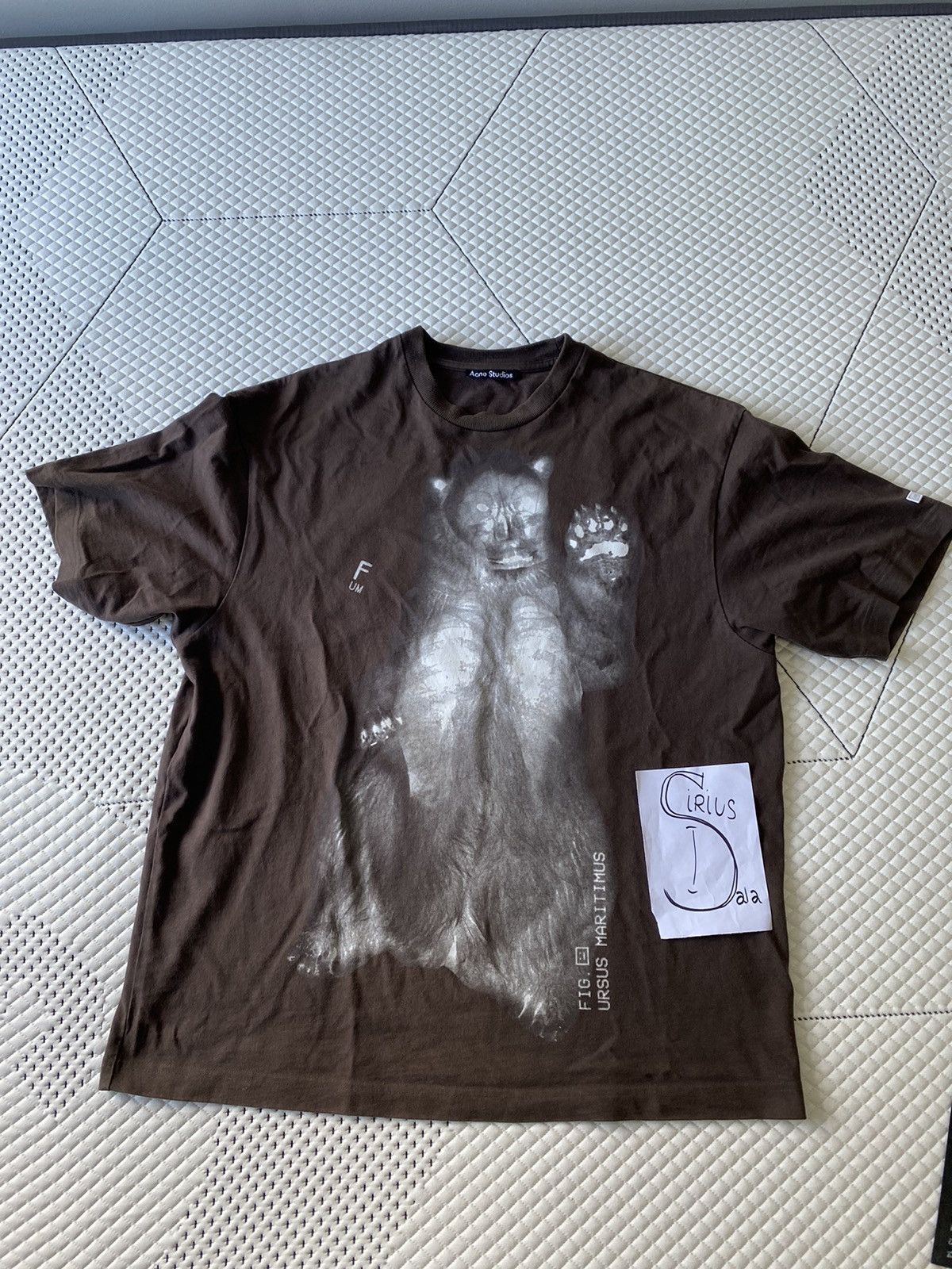 Acne Studios Acne studios brown x-ray bear Tshirt | Grailed
