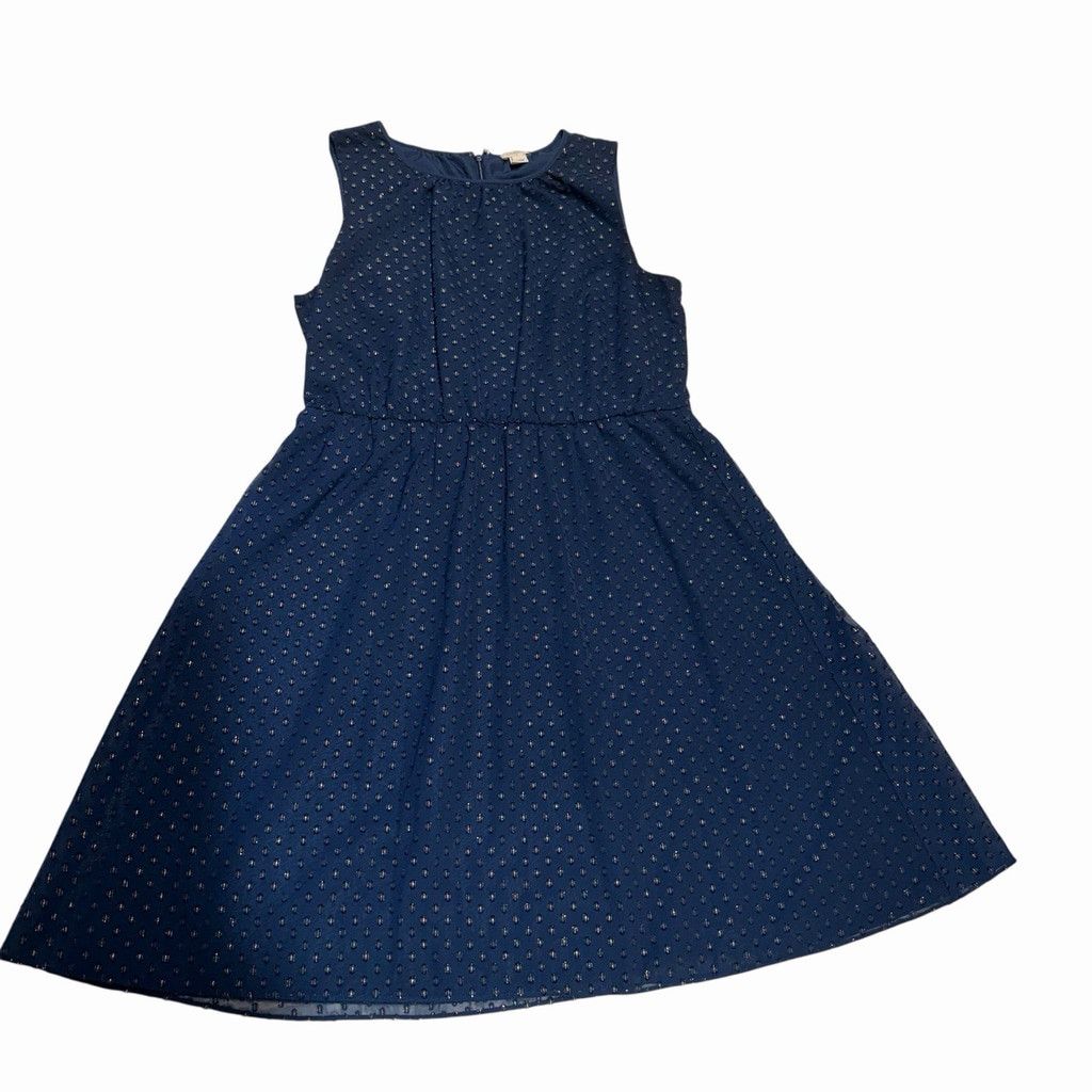 J.Crew J.Crew Navy Swiss Dot Fit Flare Dress12 Neck Sleevless Lined Size XL / US 12-14 / IT 48-50 - 10 Thumbnail
