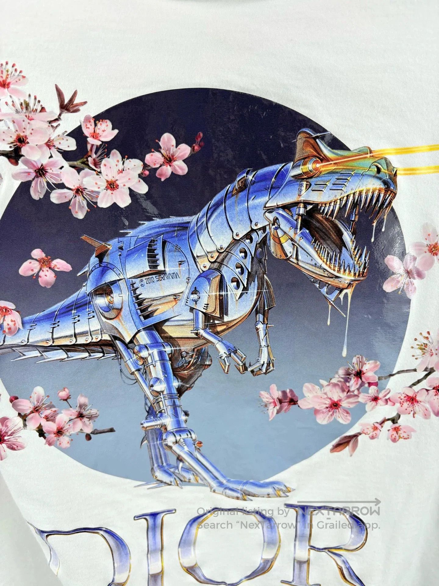 dior short sleeve dinosaur graphic t-shirt.