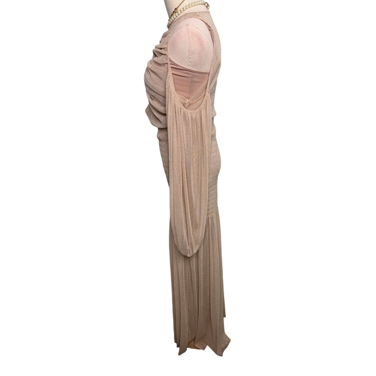 Alice McCall Alice McCall Spell Gown Maxi Dress nude metallic mesh Size 4 Size S / US 4 / IT 40 - 7 Thumbnail