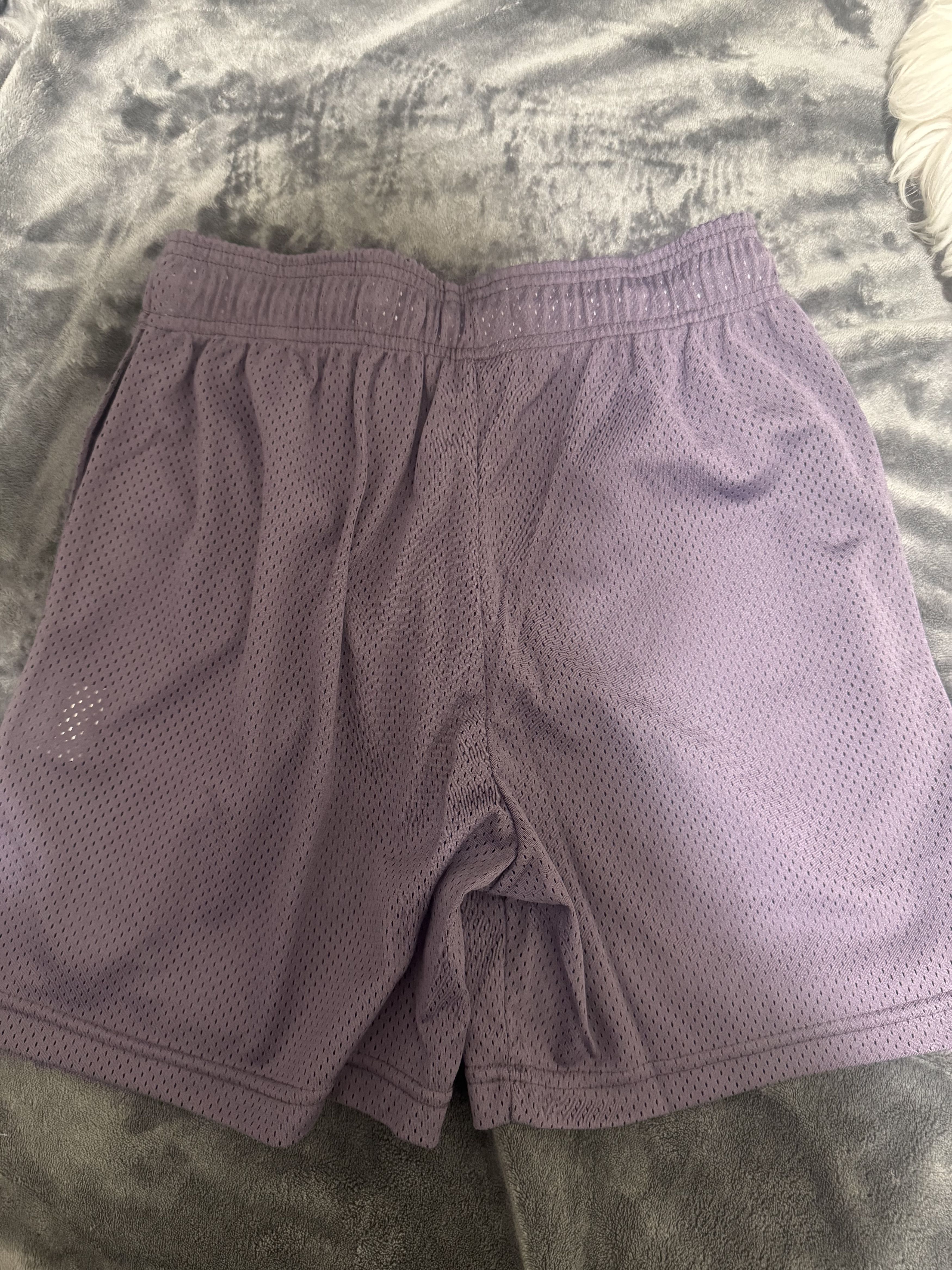 Eric Emanuel GRAPE EE BOLT SHORTS Size US 30 / EU 46 - 2 Thumbnail