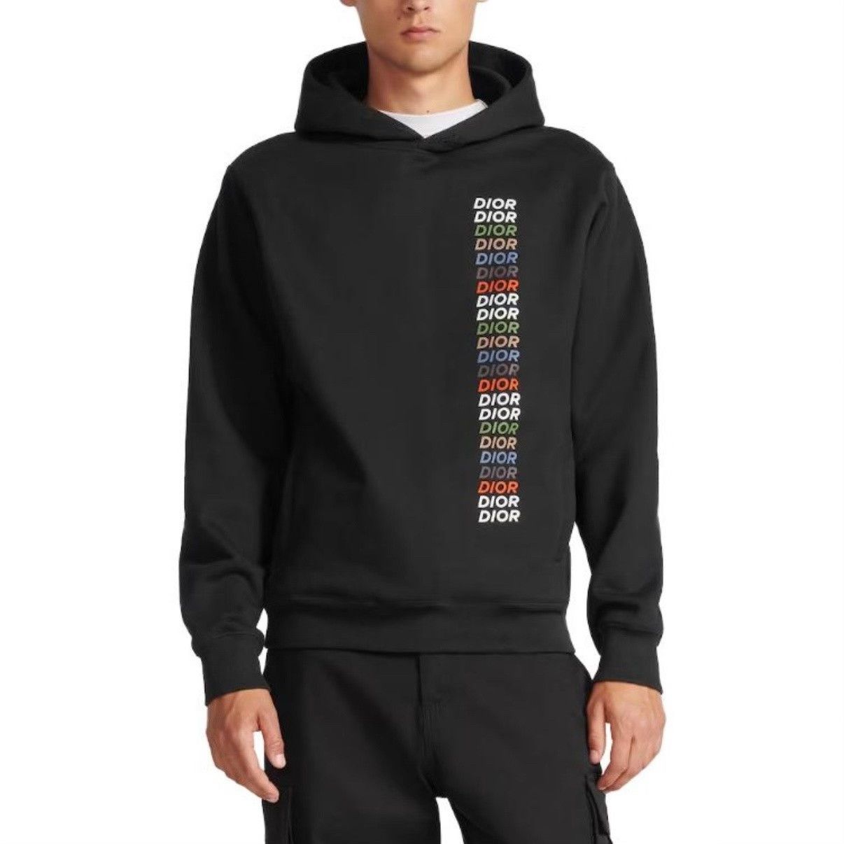 Dior Dior Rainbow Logo Hoodie XL SS24 Size US XL / EU 56 / 4 - 6 Thumbnail