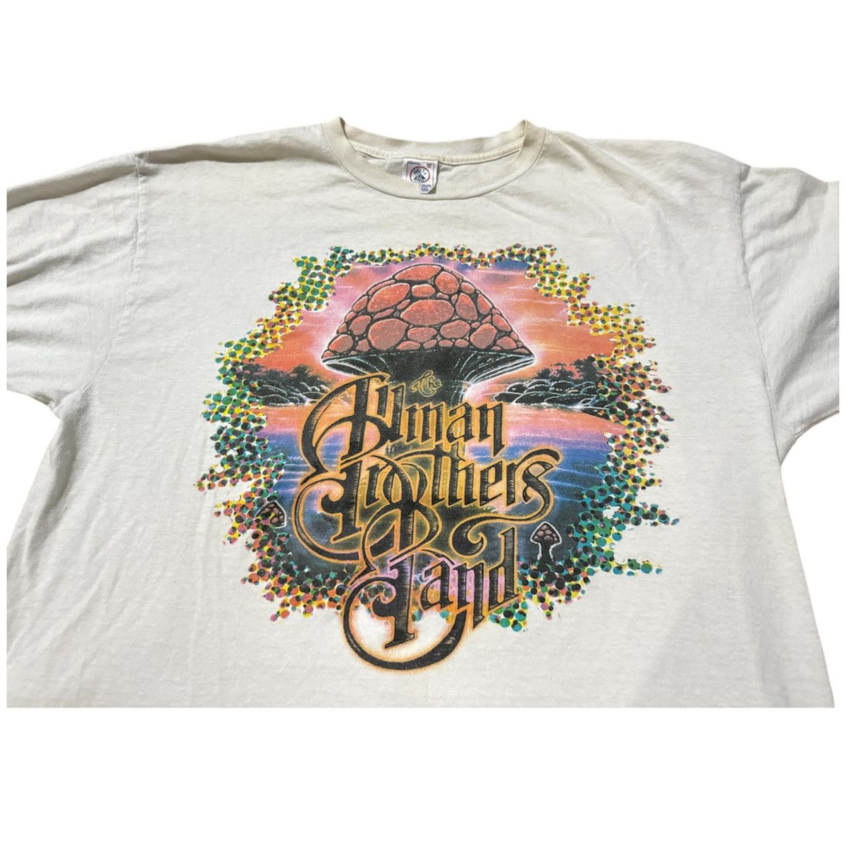 Vintage 2000s Allman Brothers Band T Shirt