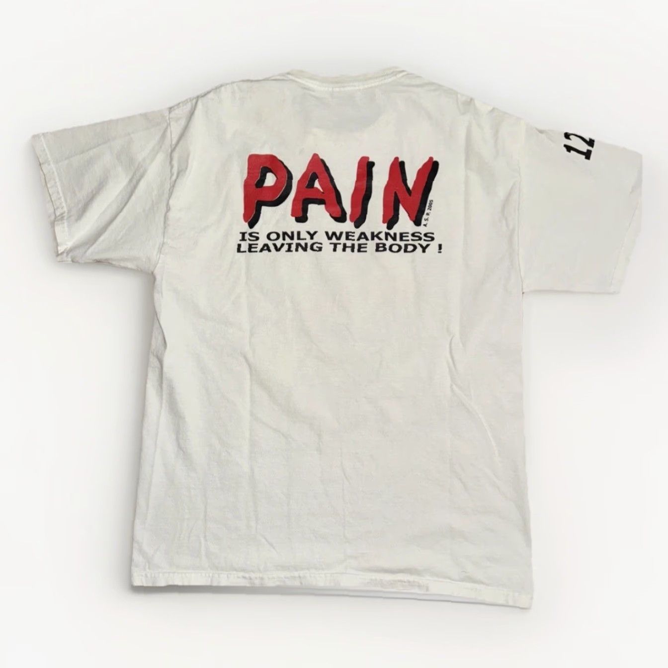 Gildan VINTAGE 2012 Riverside County Wrestling Championships T-Shirt White Large 21x28 Mens Cotton Graphic Print Short Sleeve Crew Neck 100% White Size US L / EU 52-54 / 3 - 5 Thumbnail