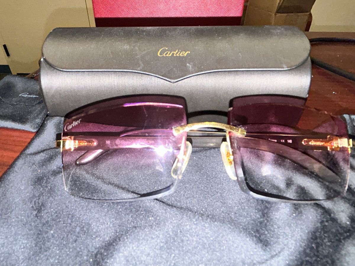 Cartier Cartier Buffalo Horn C Décor Sunglasses – Rare Buffs Size ONE SIZE - 9 Thumbnail