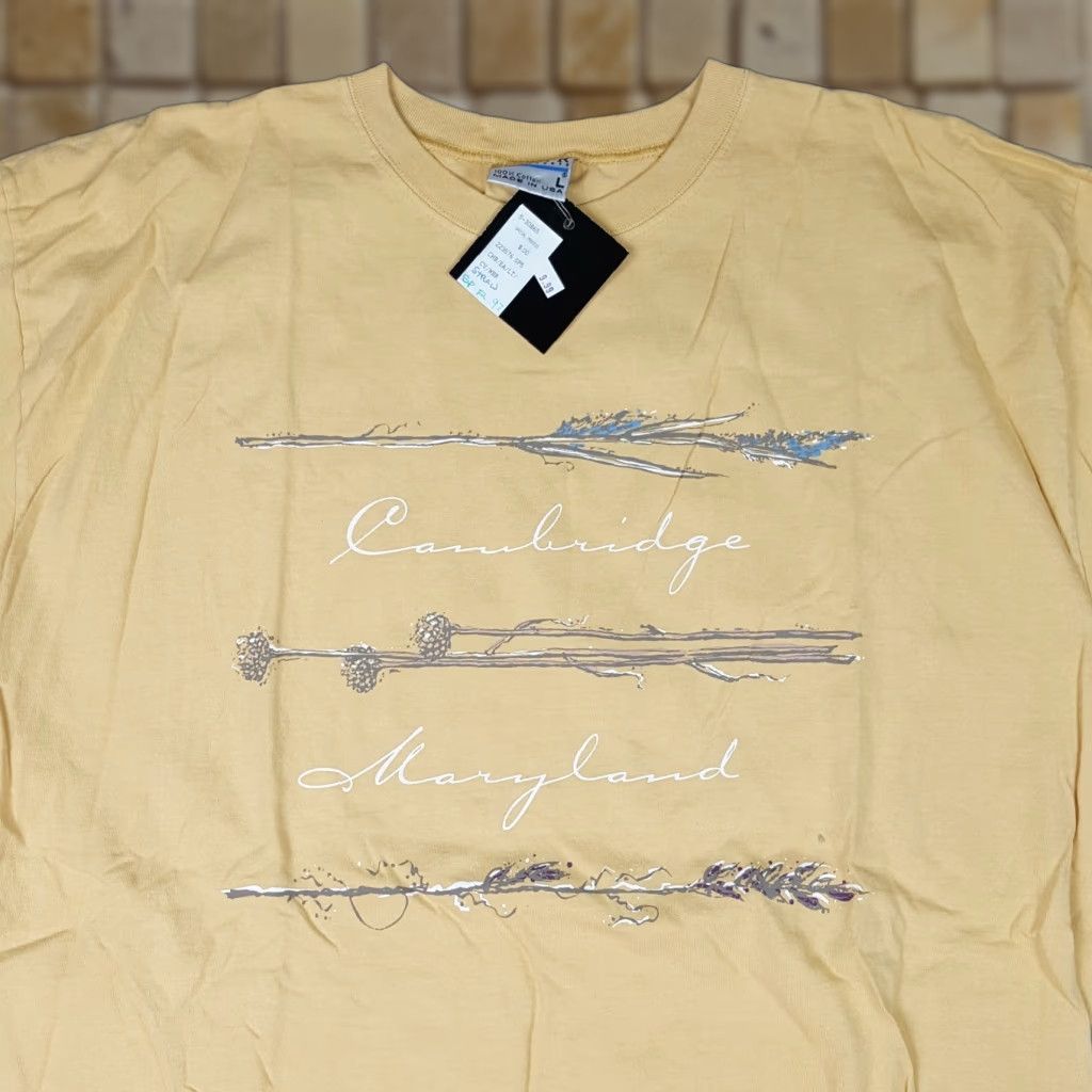 Vintage VINTAGE Cambridge Maryland Y2K Men's Size Large USA Made University T Shirt Size US L / EU 52-54 / 3 - 1 Thumbnail