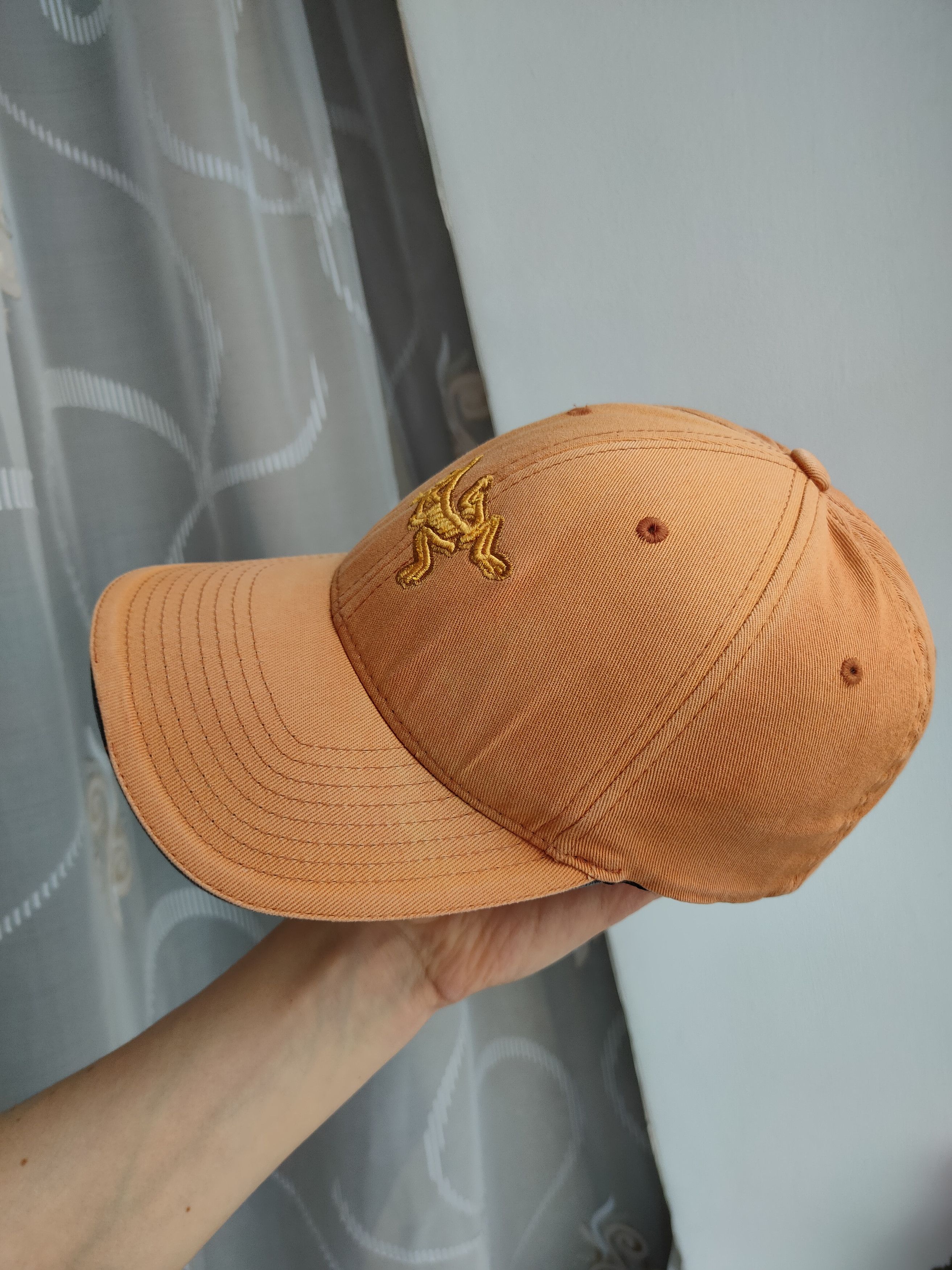 Arc'teryx Arcteryx Cap Flexfit Arc'teryx Center Logo Cap Size ONE SIZE - 14 Thumbnail