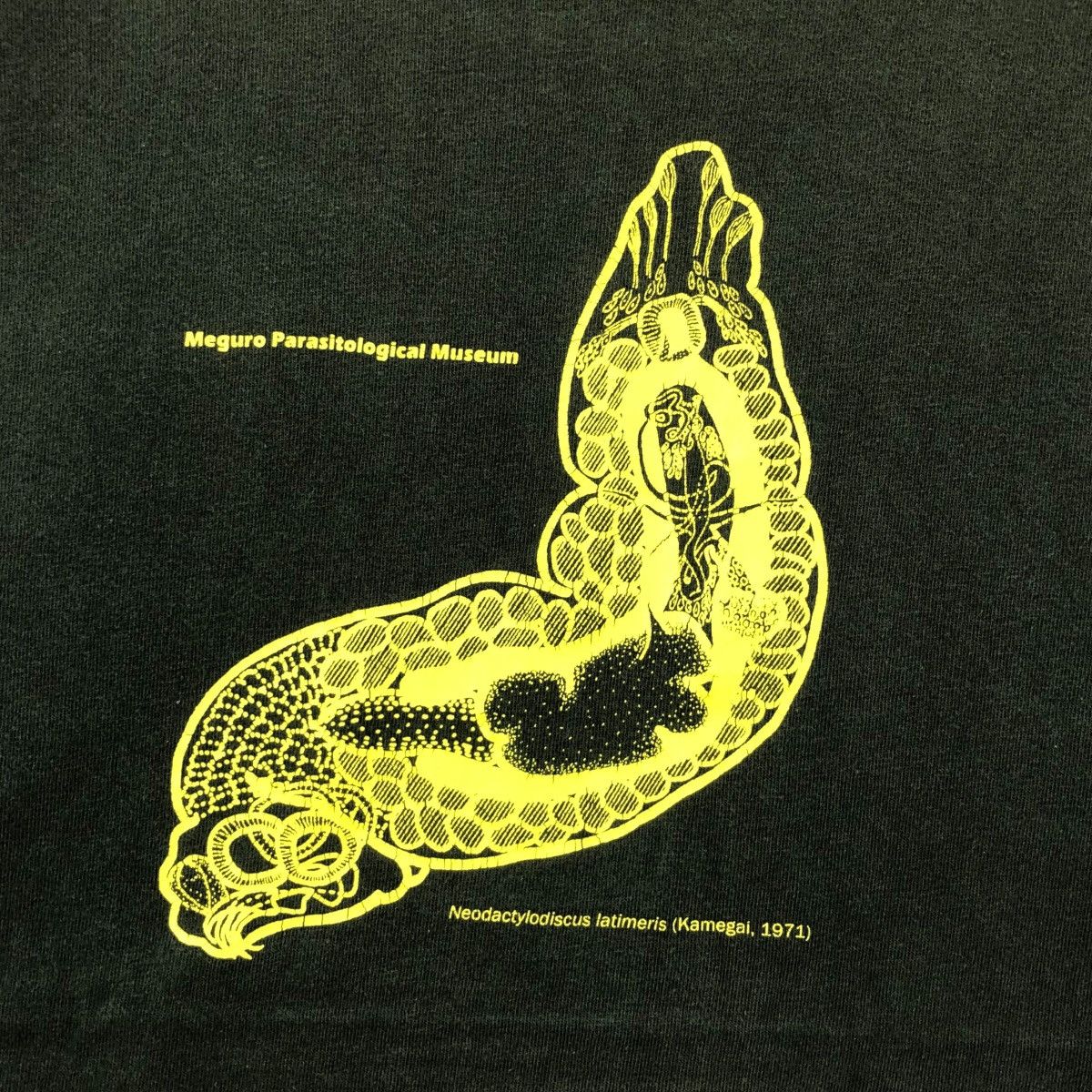 Vintage Vintage Meguro Parasitological Museum Art Tee Shirt Size XL Size US XL / EU 56 / 4 - 3 Thumbnail