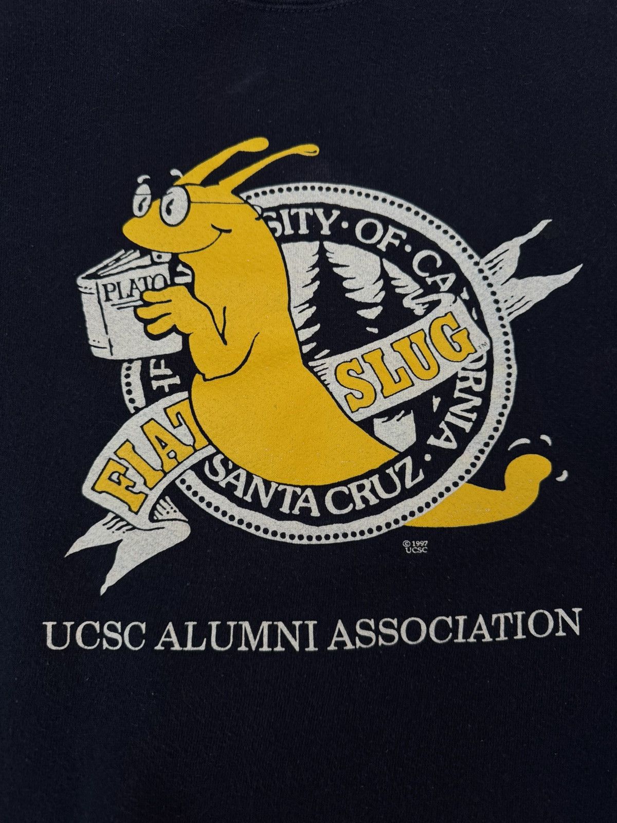 Fruit Of The Loom 90s Vintage University Crewneck California Santa Cruz Size US L / EU 52-54 / 3 - 2 Thumbnail