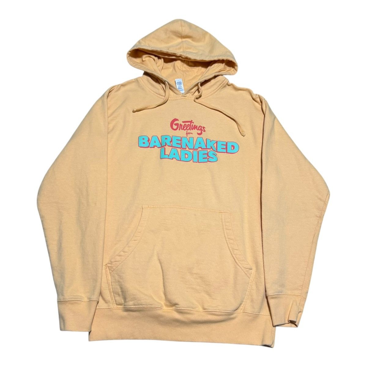 Band Tees × Independent Trading Co. Barenaked Ladies 2023 Last Summer on Earth Tour Hoodie M Size US M / EU 48-50 / 2 - 1 Thumbnail