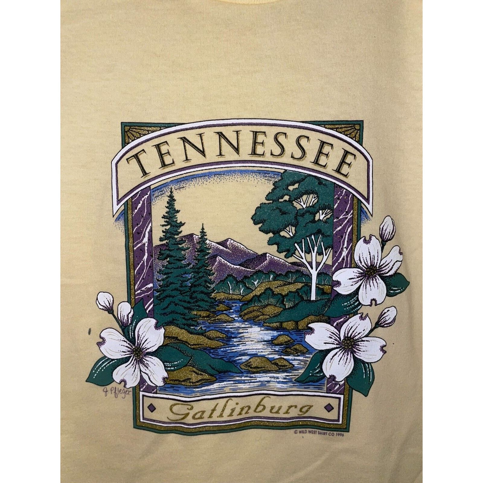 Jerzees Vintage Gatlinburg Tennessee Shirt Tee River Yellow 90s L Size US L / EU 52-54 / 3 - 2 Thumbnail