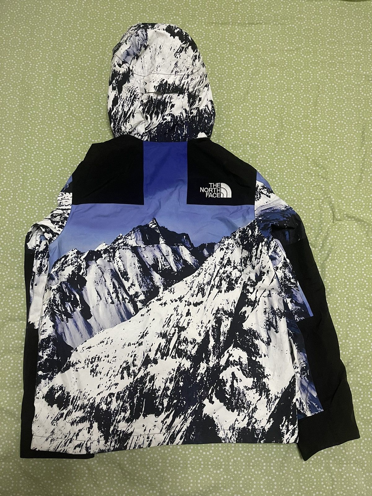 Supreme × The North Face Supreme tnf the north face mountain parka Size US M / EU 48-50 / 2 - 2 Thumbnail