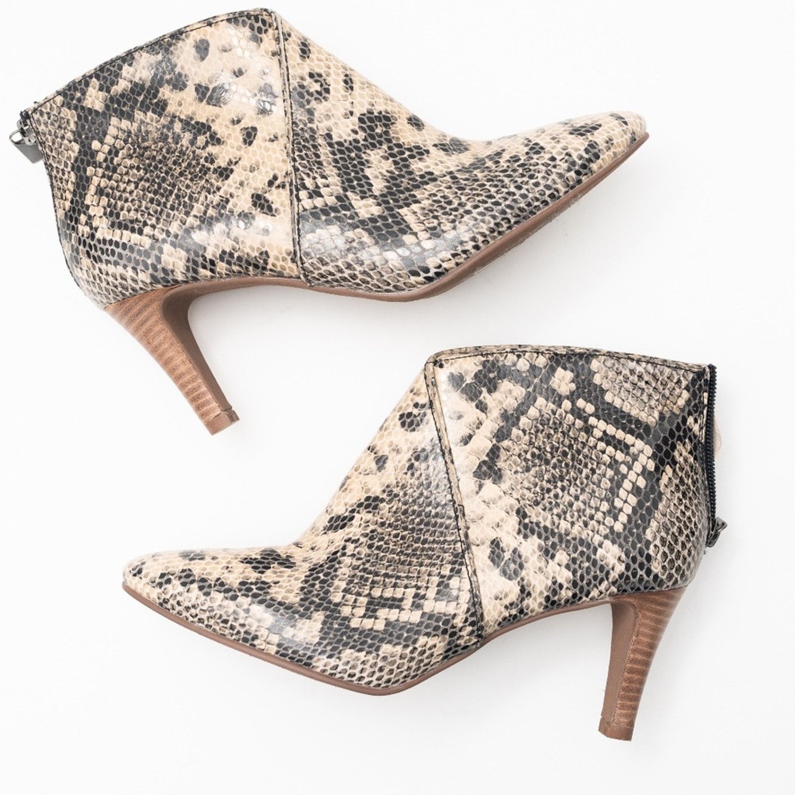 Seychelles Seychelles. New! Snake Heeled Ankle Boots. Size US 7 / IT 37 - 1 Thumbnail