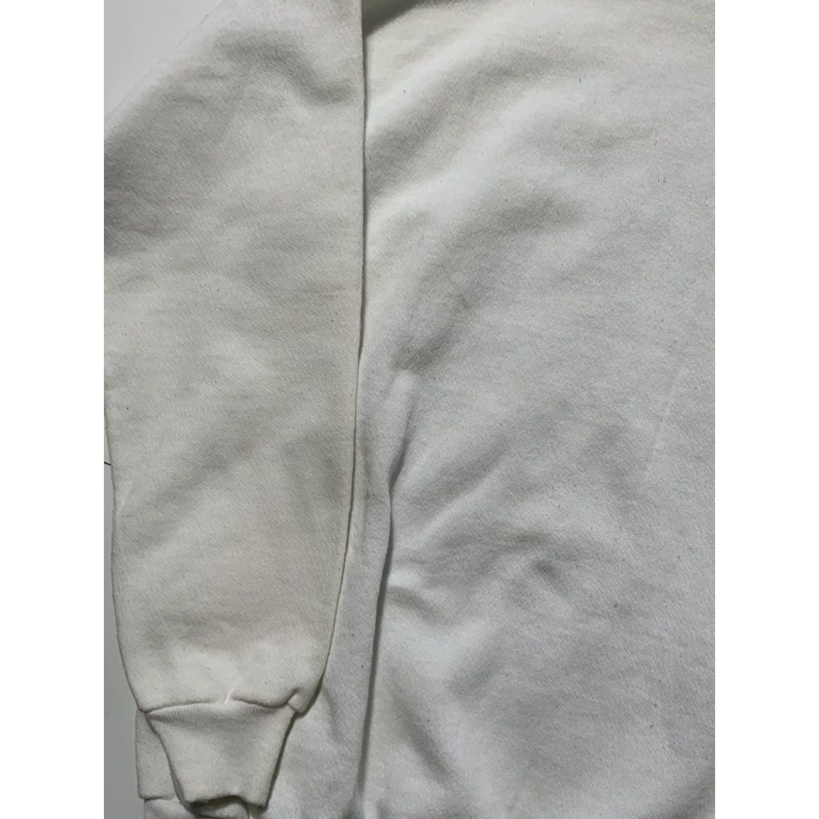 Tultex VINTAGE Tultex Looney Tunes Taz Tasmanian Devil True Blue Crewneck Sweatshirt XL Men White 90s Pullover I? Size US XL / EU 56 / 4 - 6 Thumbnail